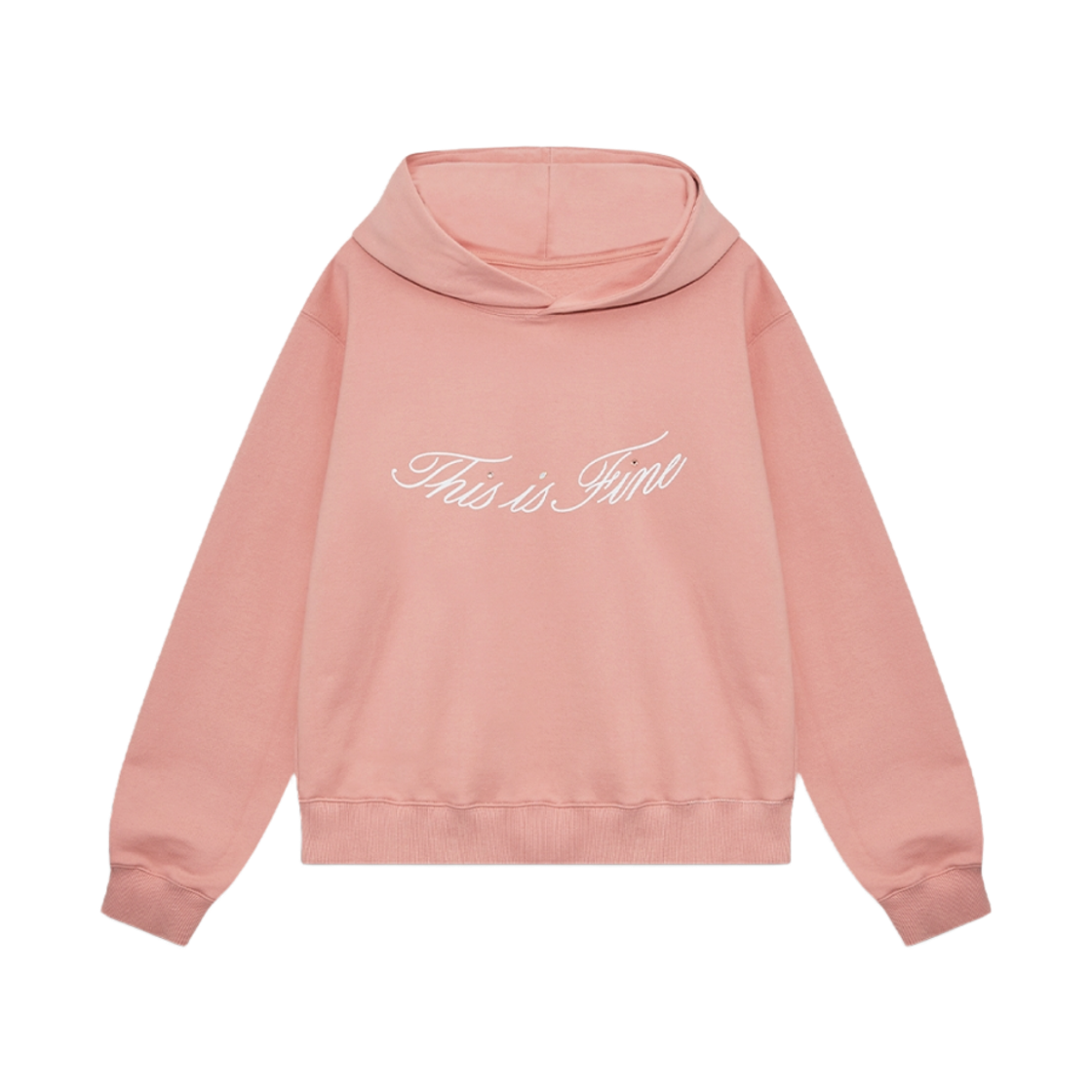 디스이즈파인 스탠다드 시그니처 후디 핑크(THIS IS FINE Standard Signature Hoodie Pink) - 1