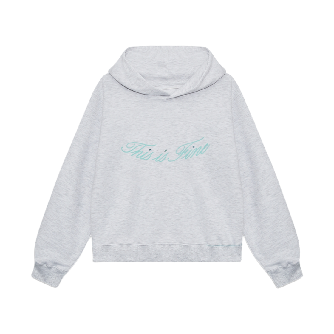 디스이즈파인 스탠다드 시그니처 후디 그레이+티프블루(THIS IS FINE Standard Signature Hoodie Gray+TIF Blue) - 1
