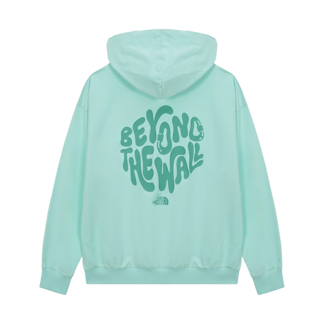 NM5PS00D The North Face Clay Hoodie Mint - 26SS