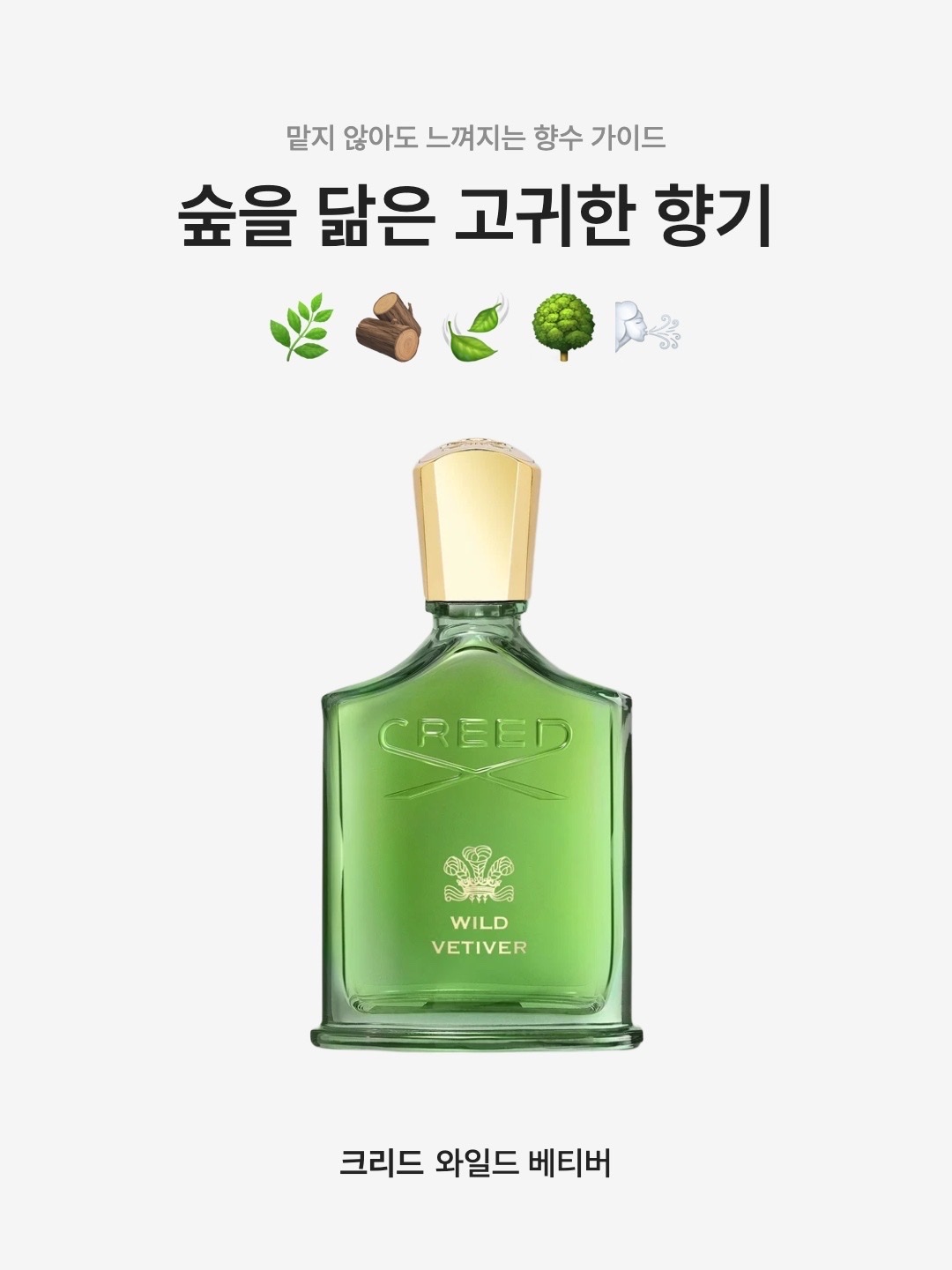 Creed Wild Vetiver Eau De Parfum 100ml, Creed Wild Vetiver Eau De Parfum 50ml 착용 스타일 - 1
