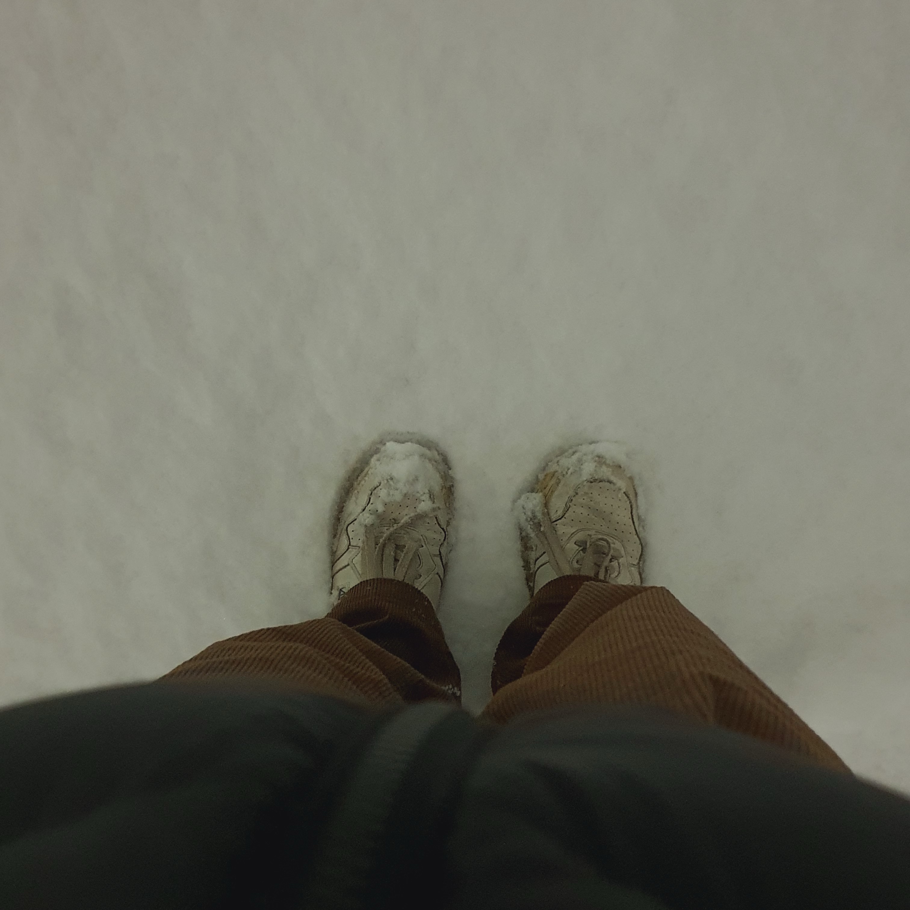 Autry Medalist Low Leather Sneakers White 착용 스타일
