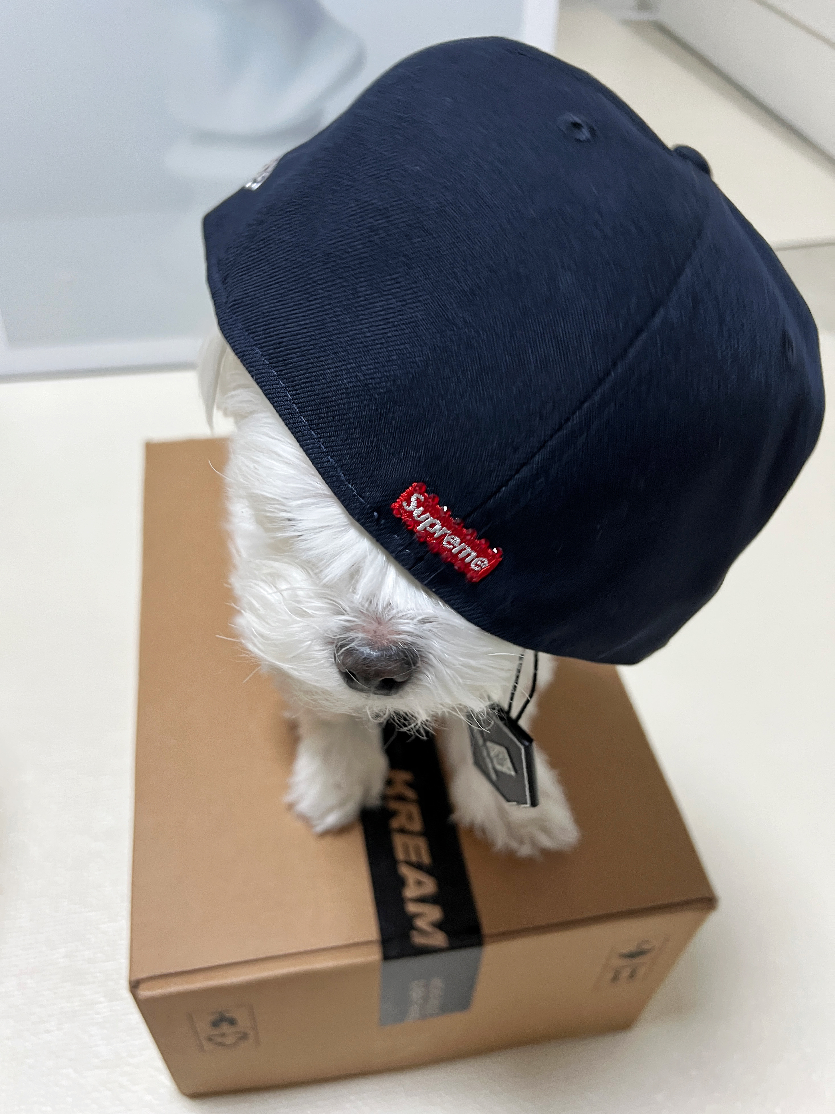 Supreme Swarovski S Logo New Era Navy - 25FW 착용 스타일 - 2