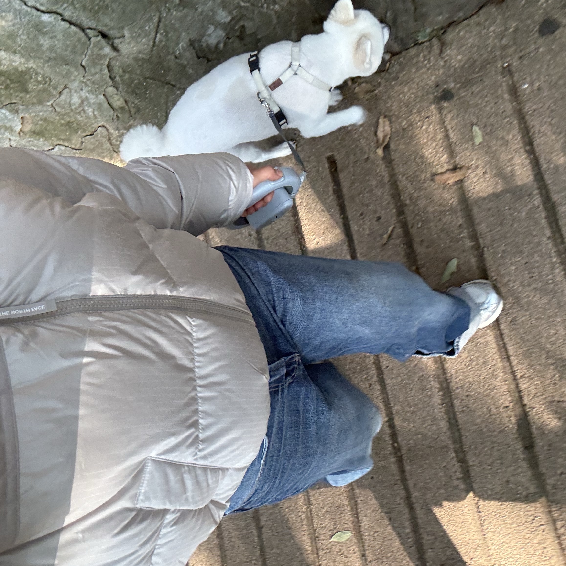 (W) The North Face White Label Novelty Nuptse Down Jacket Cream Beige 착용 스타일 - 3
