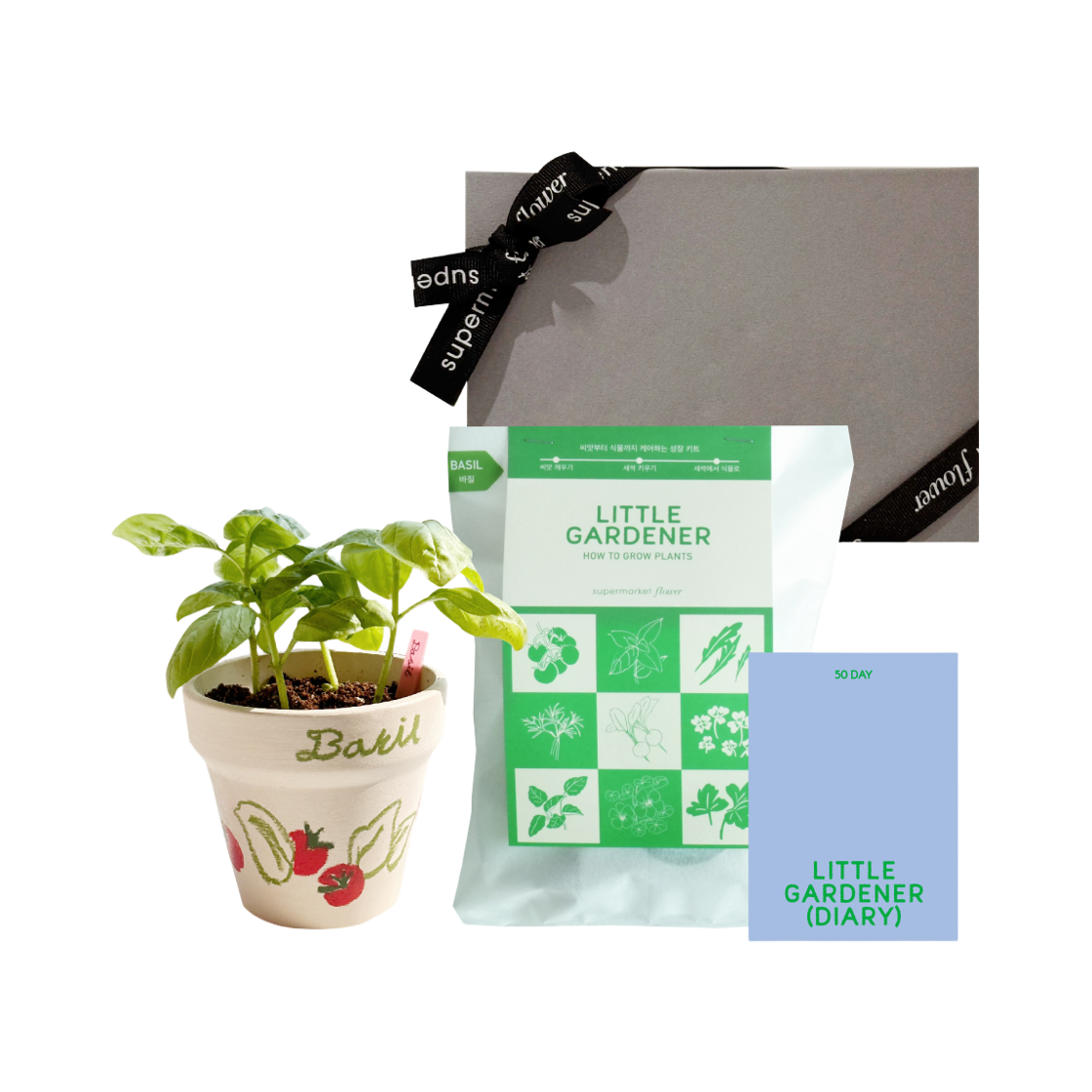 슈퍼마켙 플라워 씨앗키트 - 리틀가드너 선물포장 세트- 바질(SUPERMARKET FLOWER Seed Kit Set) - 1