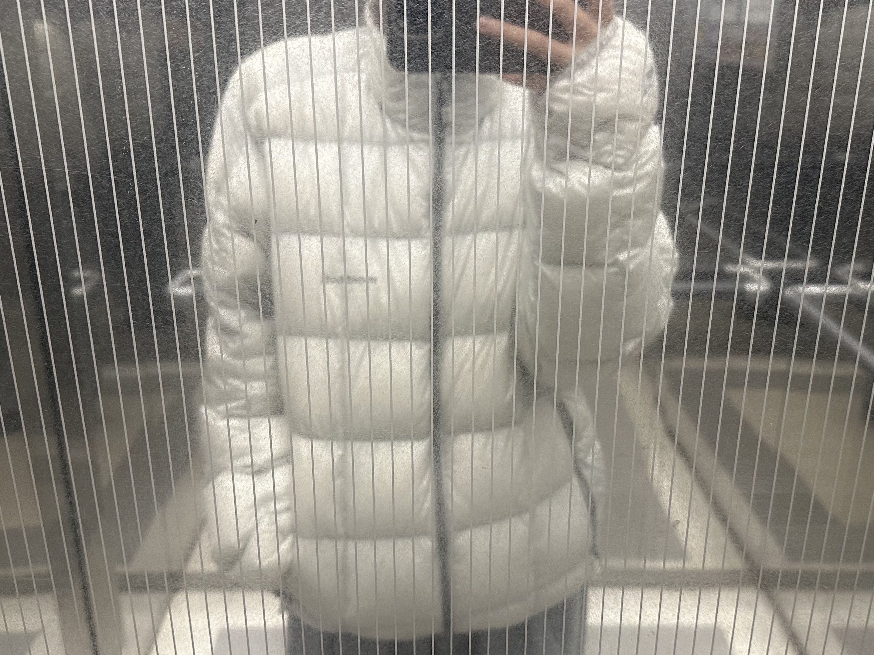 Montbell Superior Down Jacket Light Gray 착용 스타일