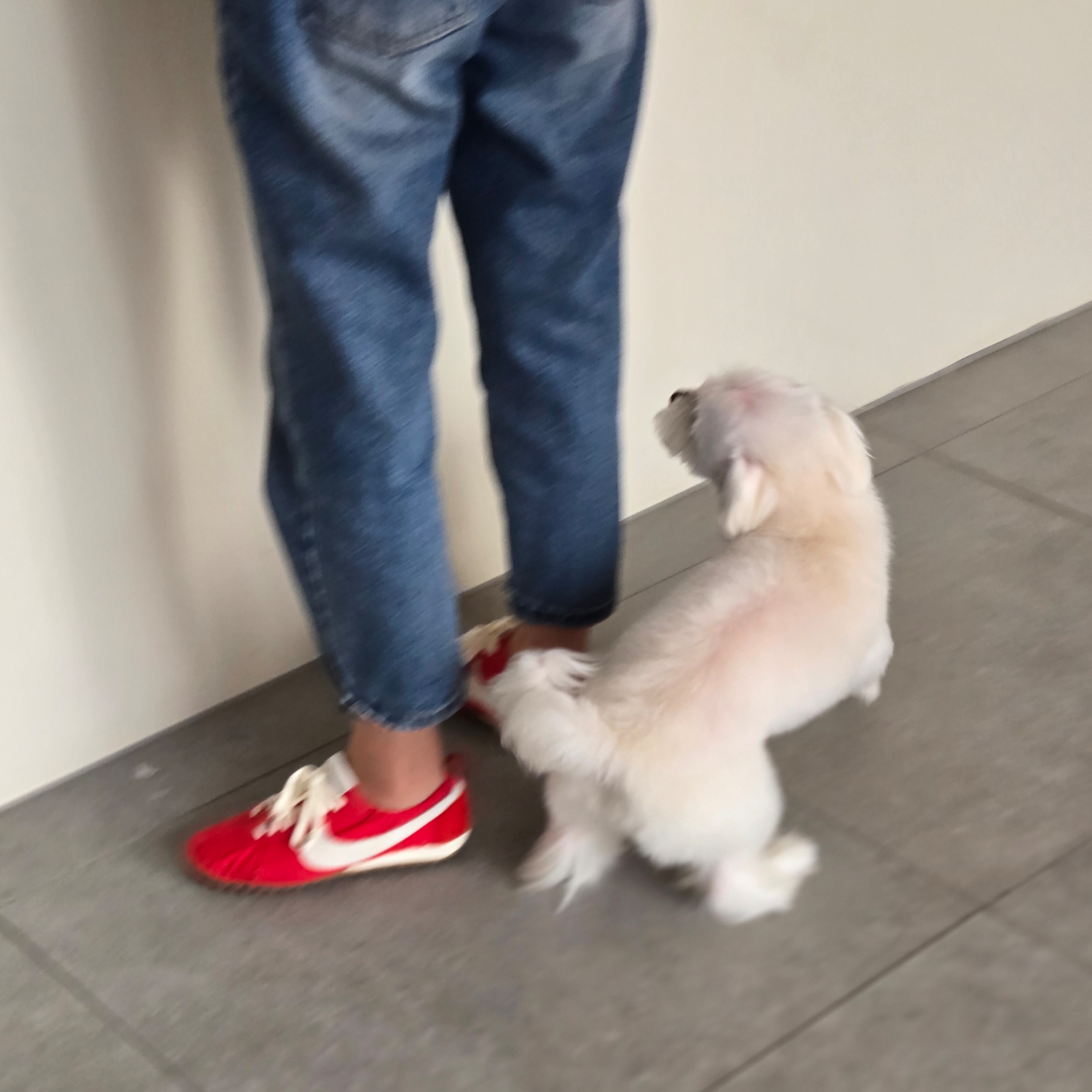 Nike x Jacquemus Moon Shoe SP University Red and Bicycle Yellow 착용 스타일