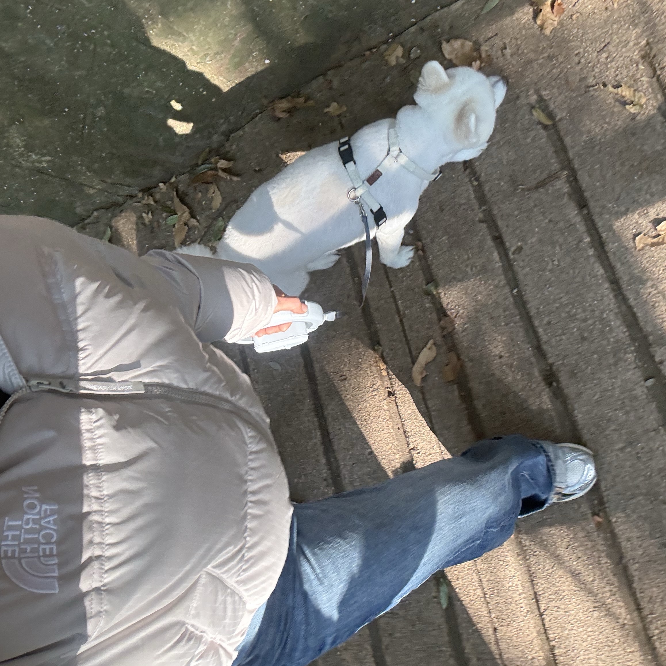 (W) The North Face White Label Novelty Nuptse Down Jacket Cream Beige 착용 스타일 - 2