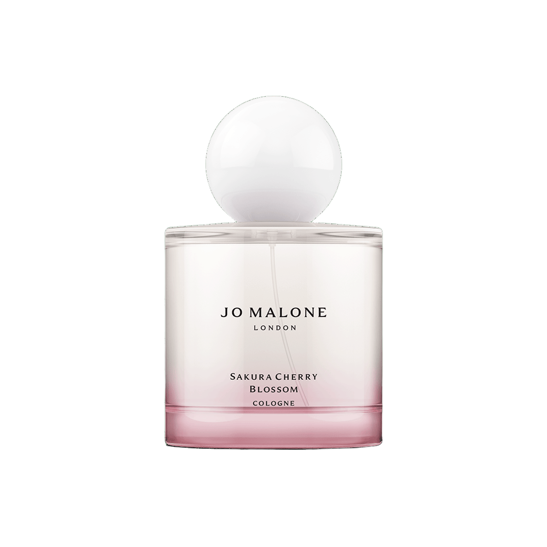 조 말론 사쿠라 체리 블로썸 코롱 100ml(Jo Malone Sakura Cherry Blossom Cologne 100ml) - 1