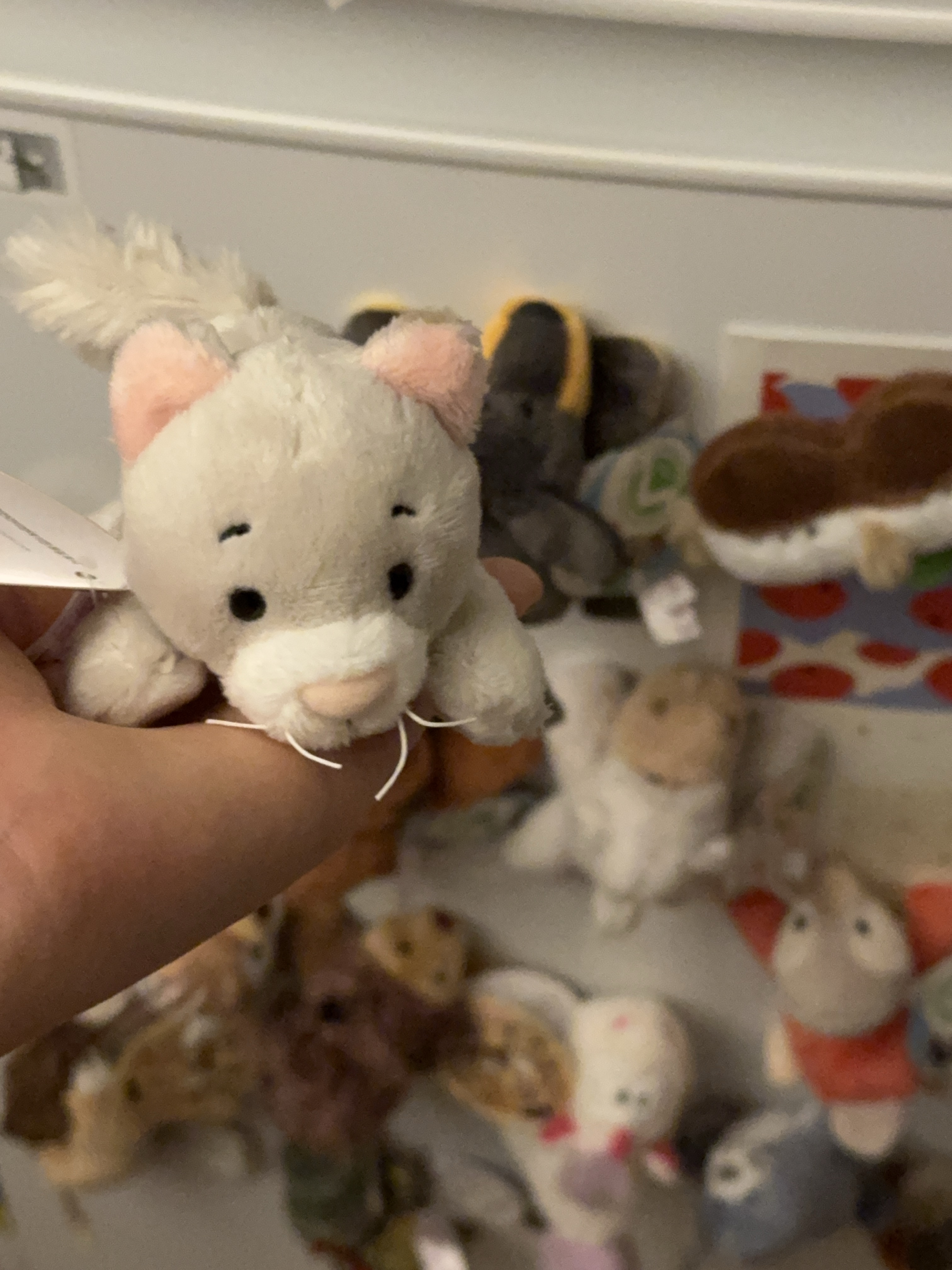 [KREAM 단독] NICI Cat Fluffy Magnici, [KREAM 단독] NICI Hedgehog Hogan Magniki 착용 스타일 - 1