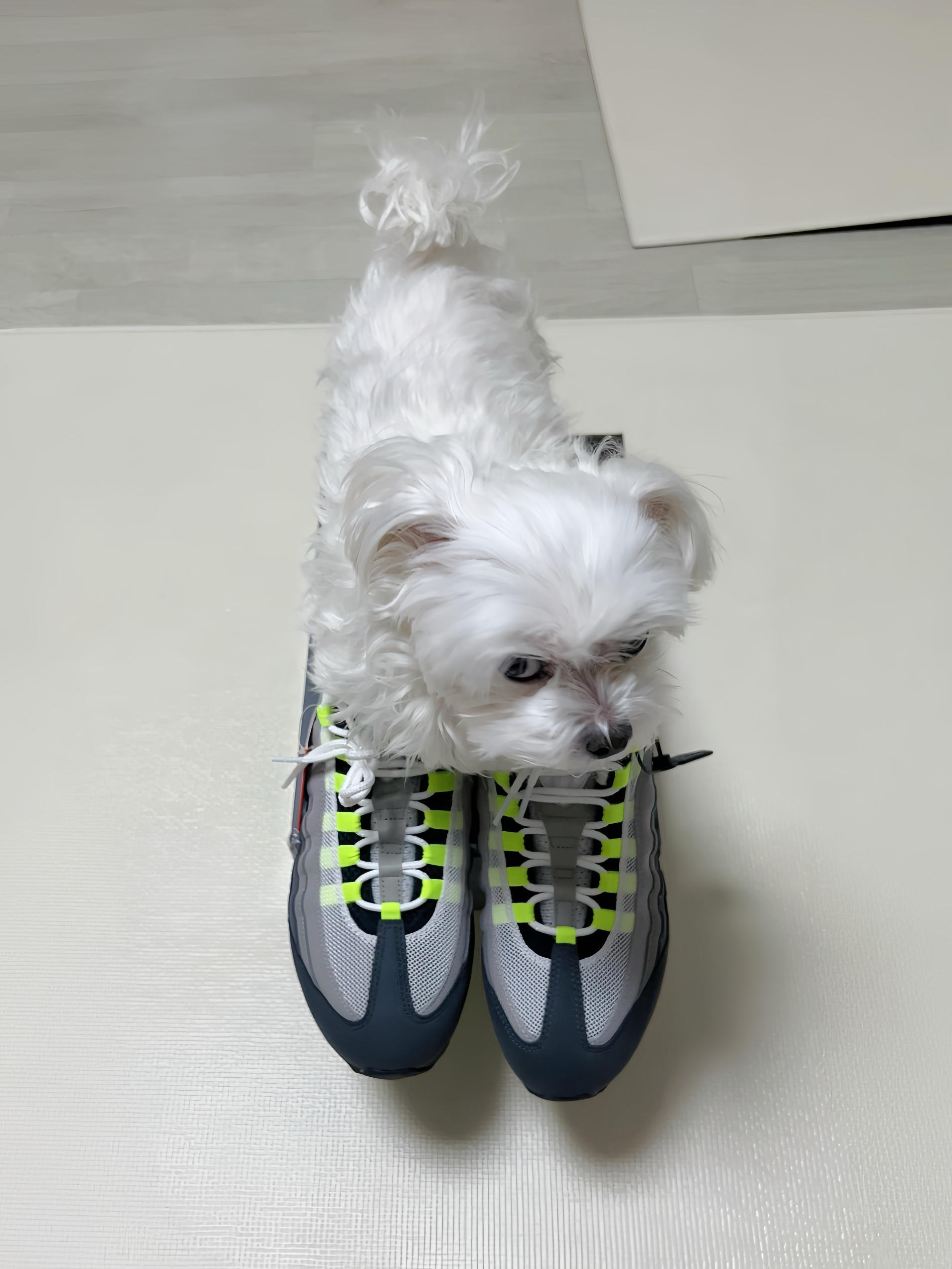 Nike Air Max 95 OG Neon 착용 스타일