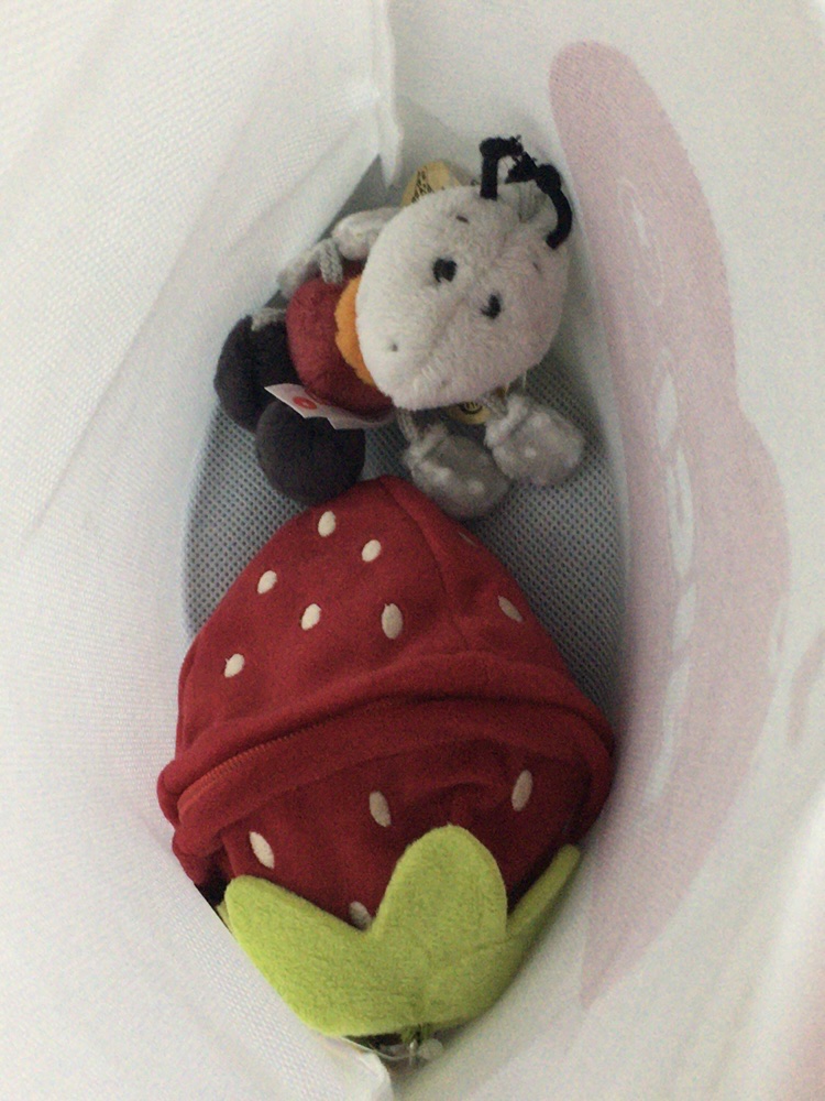 [KREAM 단독] NICI Soft toy ant Enzi 13cm with key chain in strawberry GREEN, [KREAM 단독] NICI Keyholder ant Enzi 10cm GREEN 착용 스타일