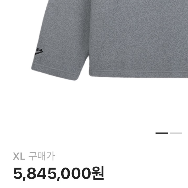 Nike ACG x Cactus Plant Flea Market L/S Polo Grey 착용 스타일
