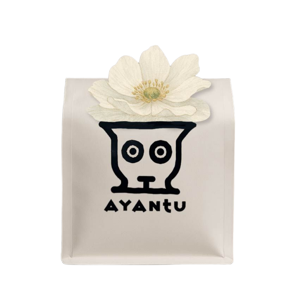 아얀투 원두 200그램 자스민 문타샤 워시드(AYANTU Coffee Beans 200g Jasmine Muntasha Washed)