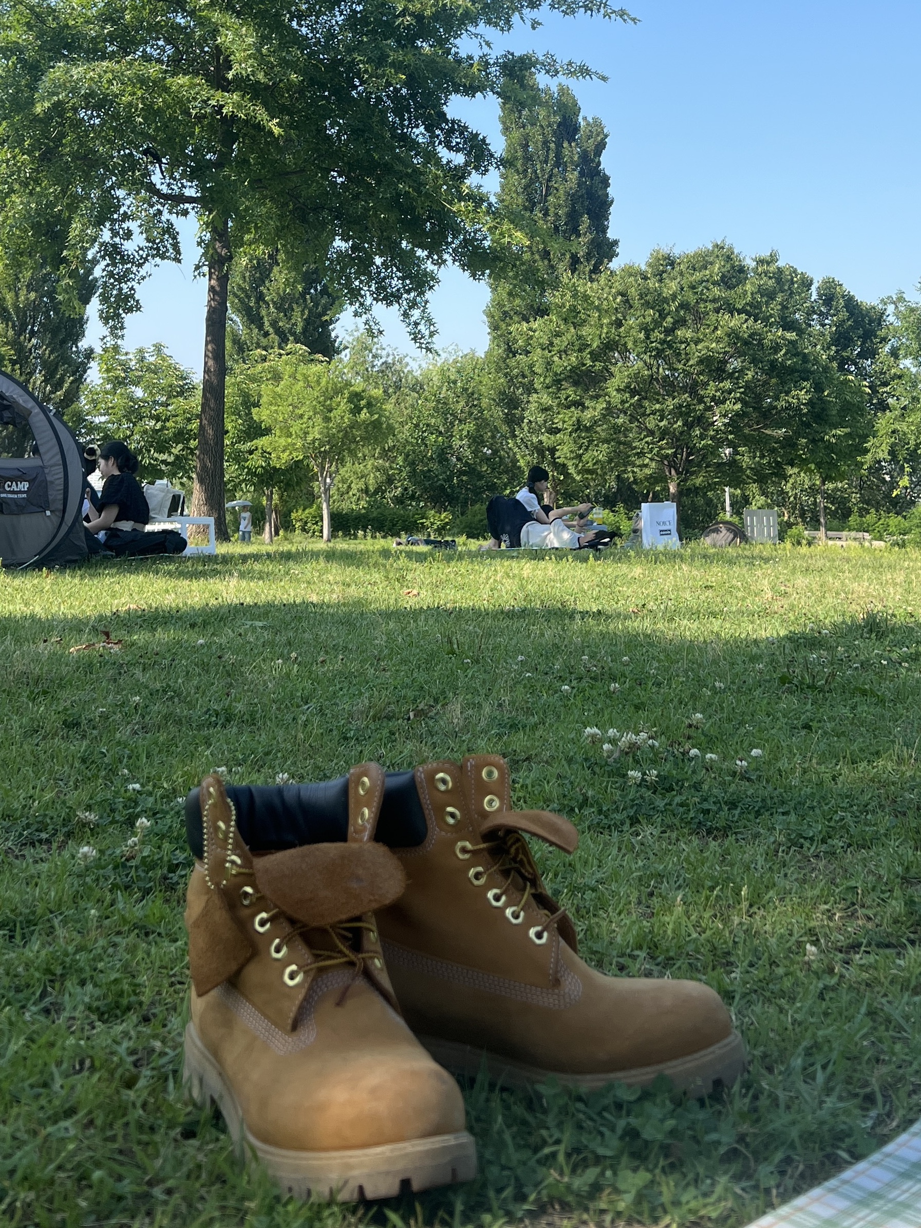 Timberland Premium 6 inch Waterproof Boot Wheat Nubuck - Wide 착용 스타일 - 3