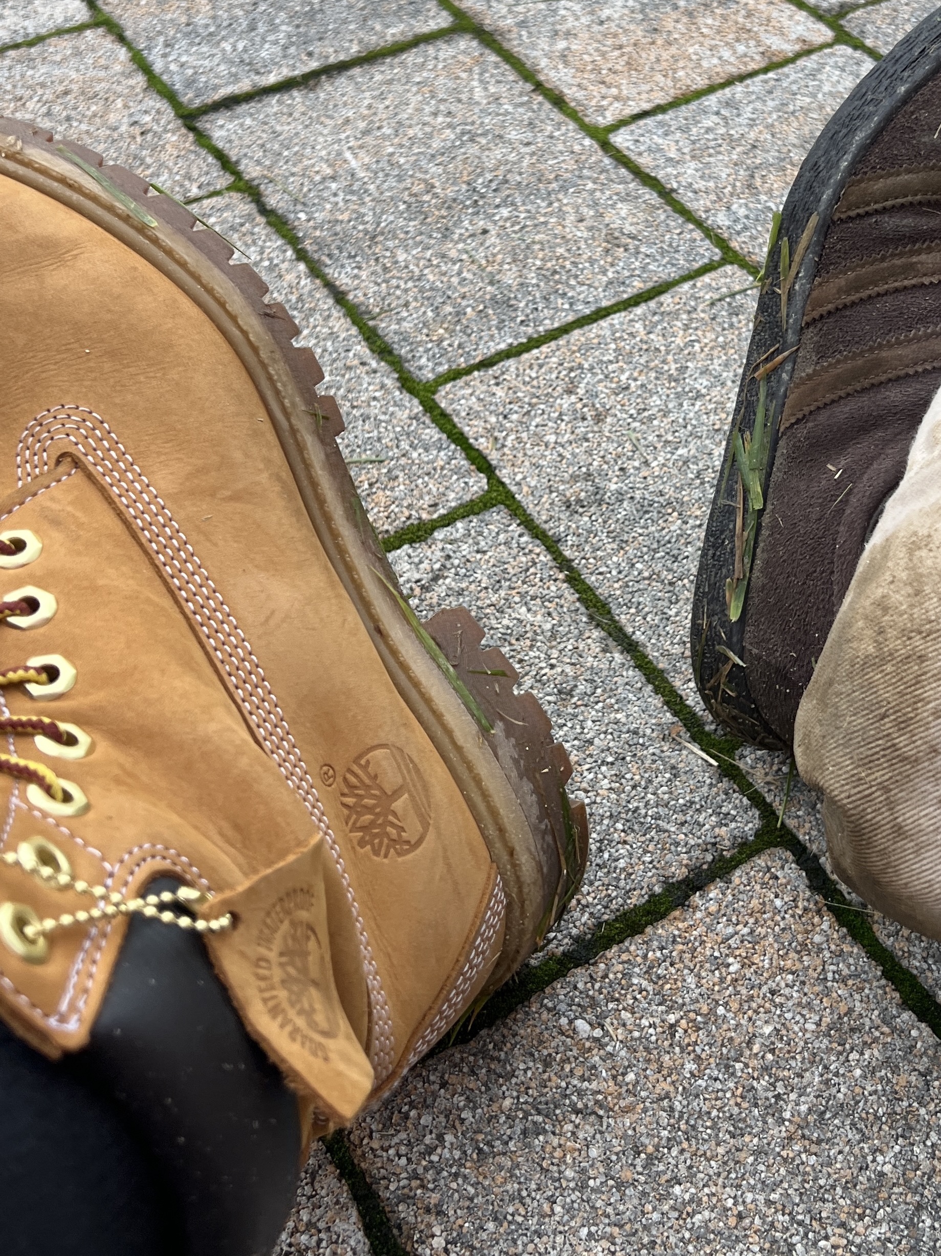 Timberland Premium 6 inch Waterproof Boot Wheat Nubuck - Wide 착용 스타일 - 2