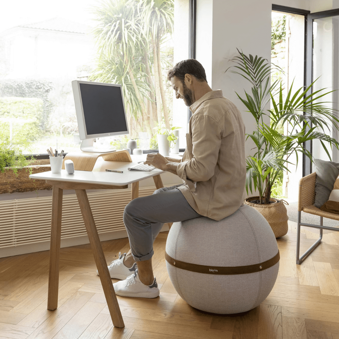 블룬파리 오리지널 시팅볼 12컬러 ver1 (4 colors)(Bloon Paris Original Seat 12 colors,ver1 (4 colors)) - 2