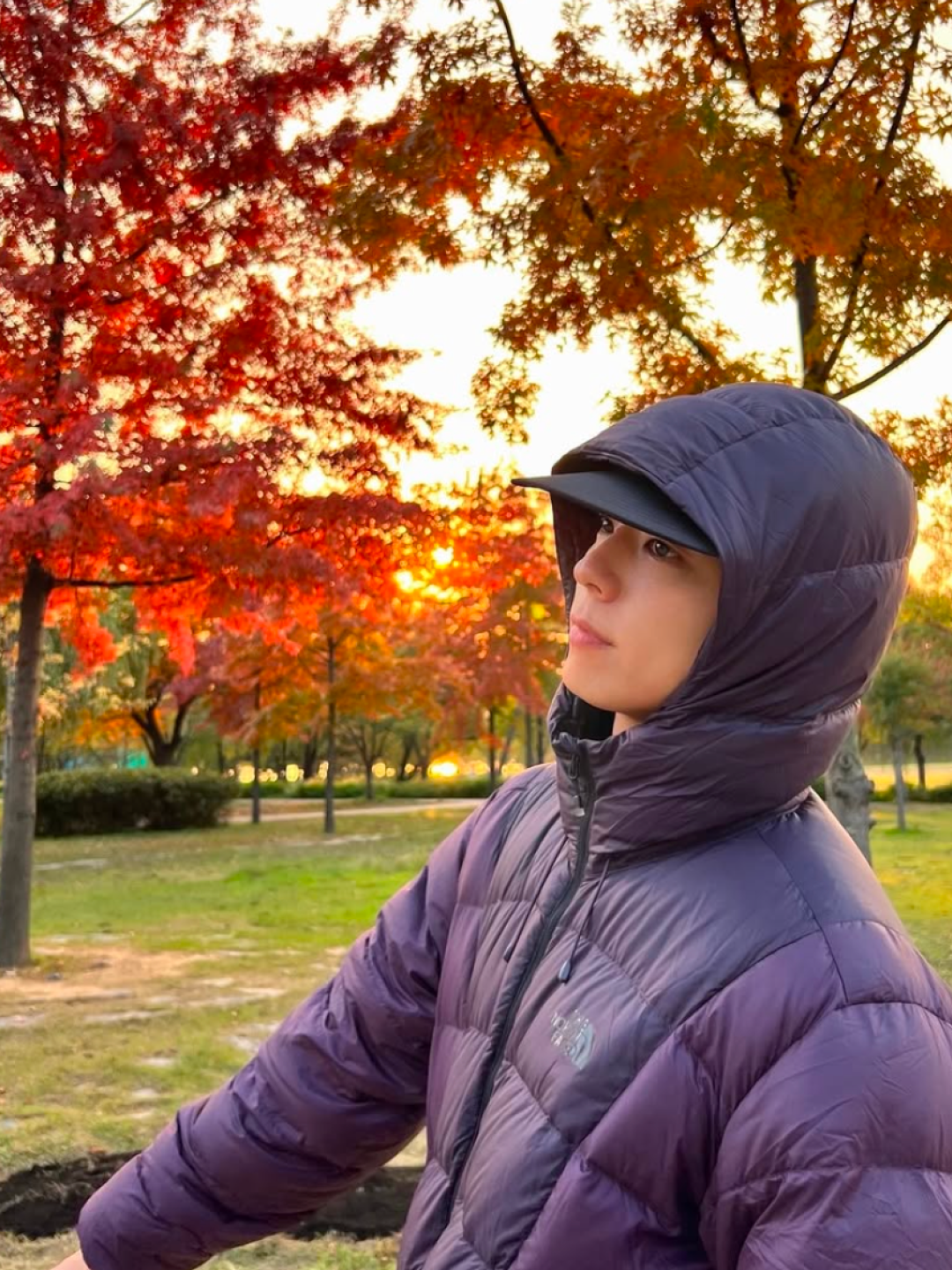 The North Face White Label Novelty Olema Hoodie Black, The North Face Line-X Jacket Gray - 25FW 착용 스타일 - 2