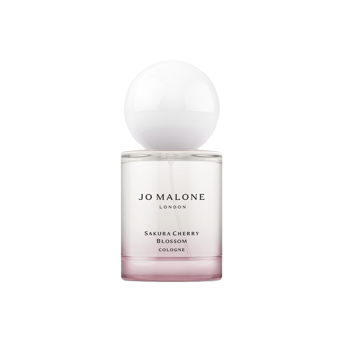 조 말론 사쿠라 체리 블로썸 코롱 30ml(Jo Malone Sakura Cherry Blossom Cologne 30ml) - 1