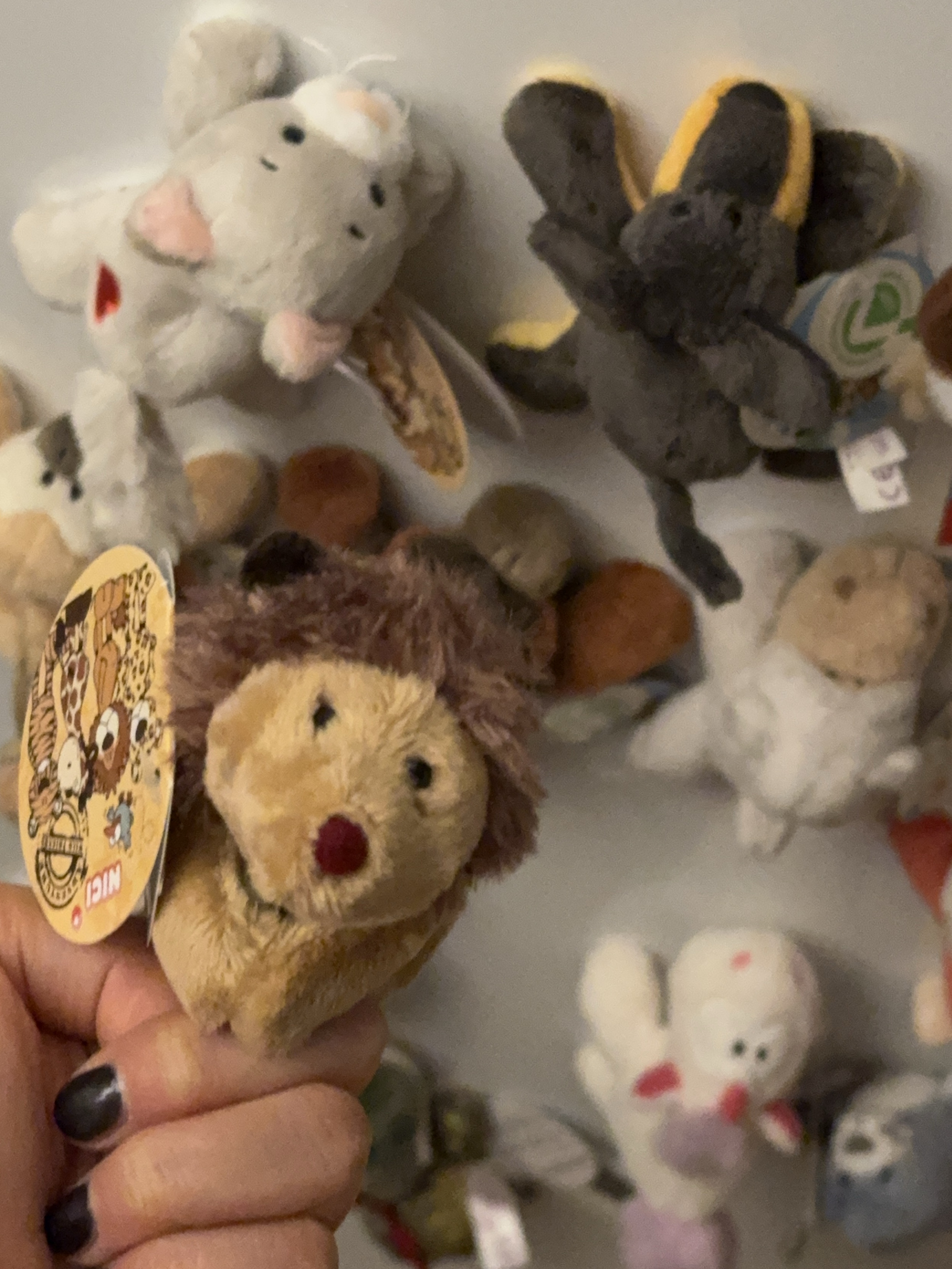 [KREAM 단독] NICI Cat Fluffy Magnici, [KREAM 단독] NICI Hedgehog Hogan Magniki 착용 스타일 - 3
