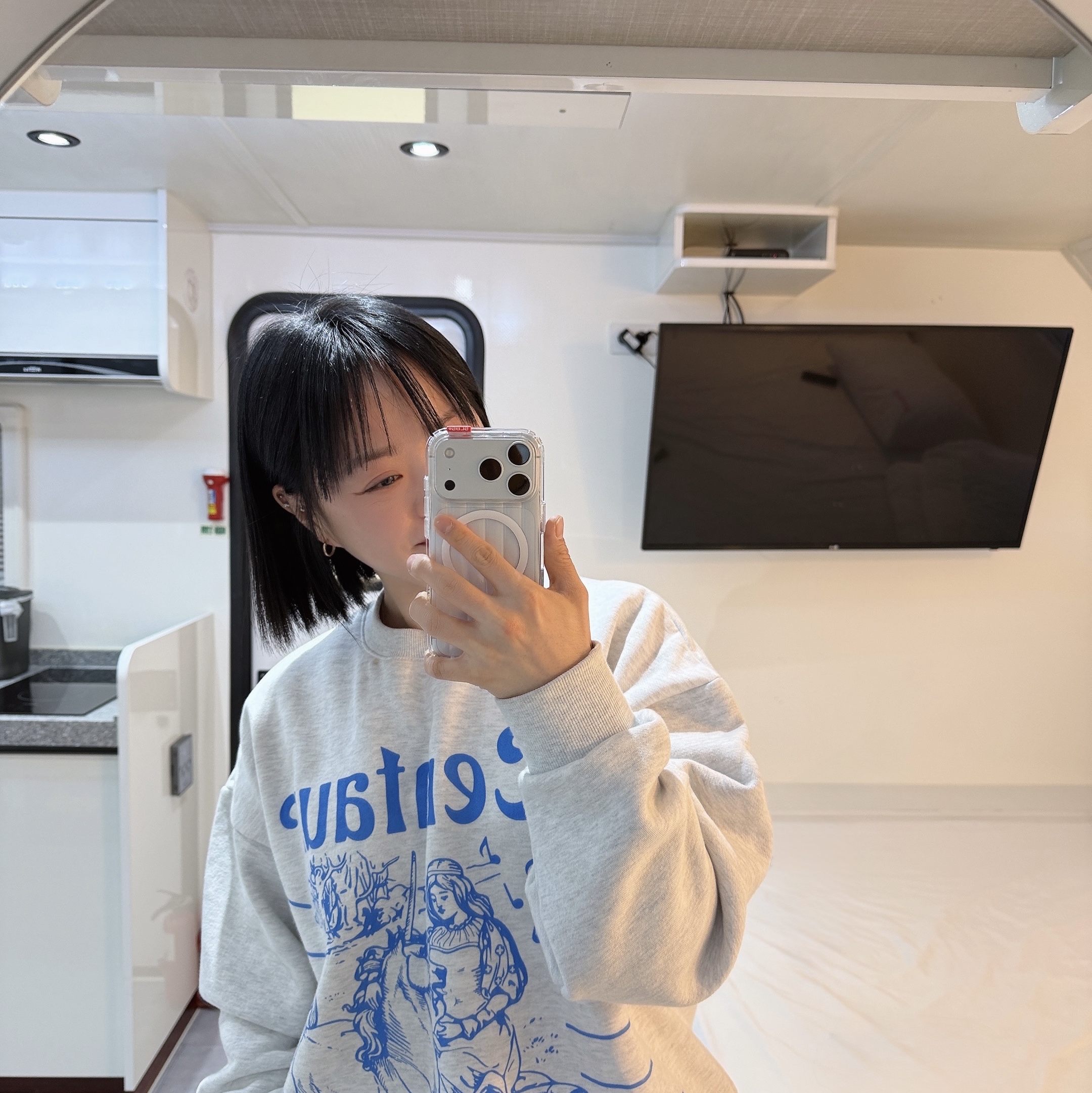 Apple iPhone 17 Pro 256GB Silver, SLBS PRSM Clear Magnet Case for iPhone17 Series 착용 스타일
