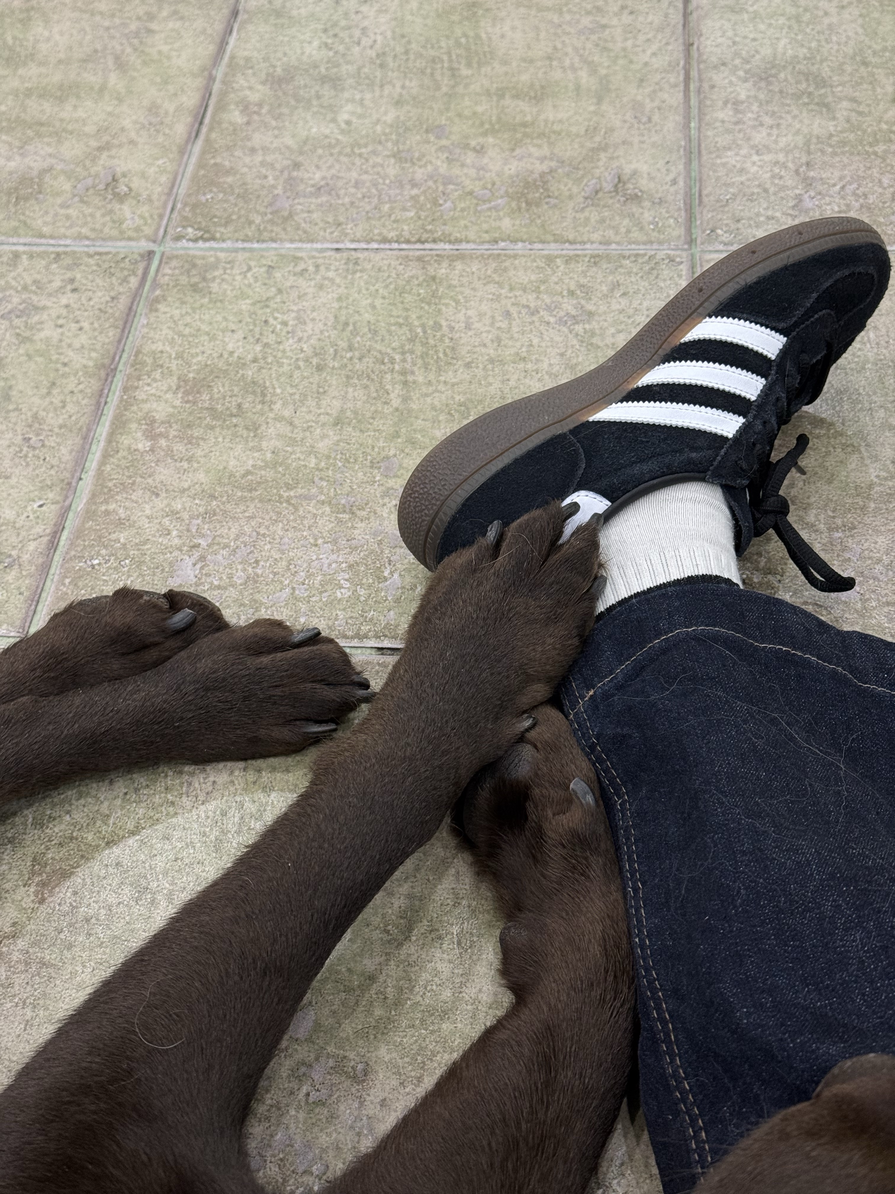 Adidas Spezial Handball Core Black, Maison Francis Kurkdjian Petit Matin Eau De Parfum 70ml 착용 스타일 - 2