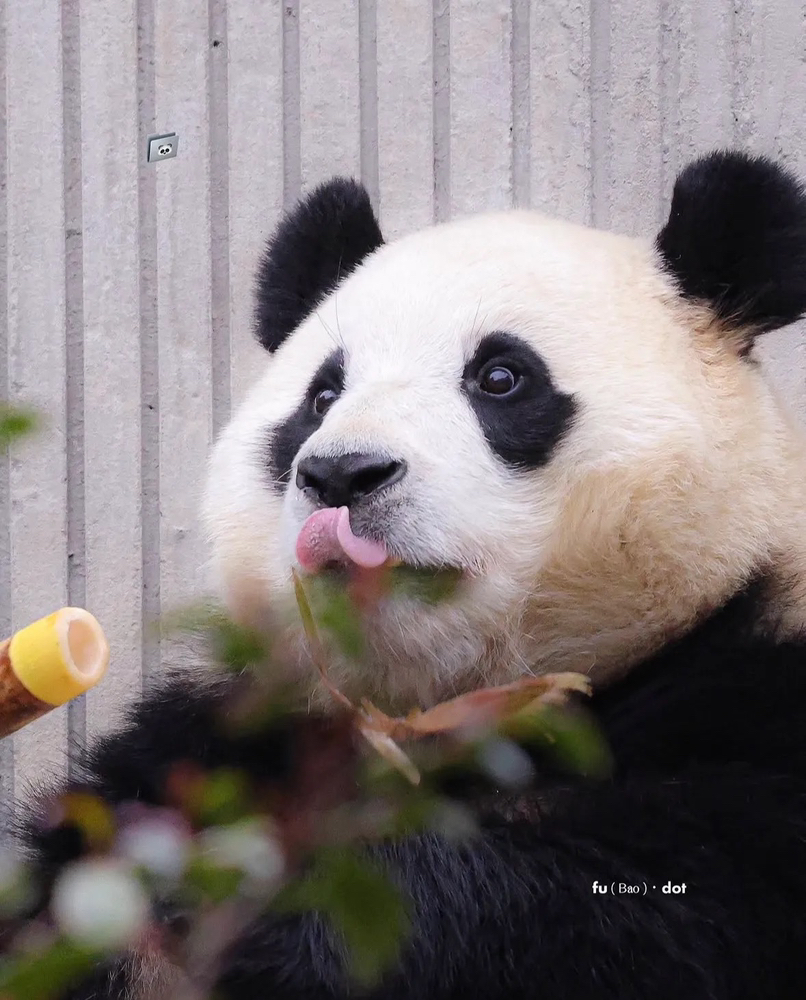 관심 유저 프로필 이미지