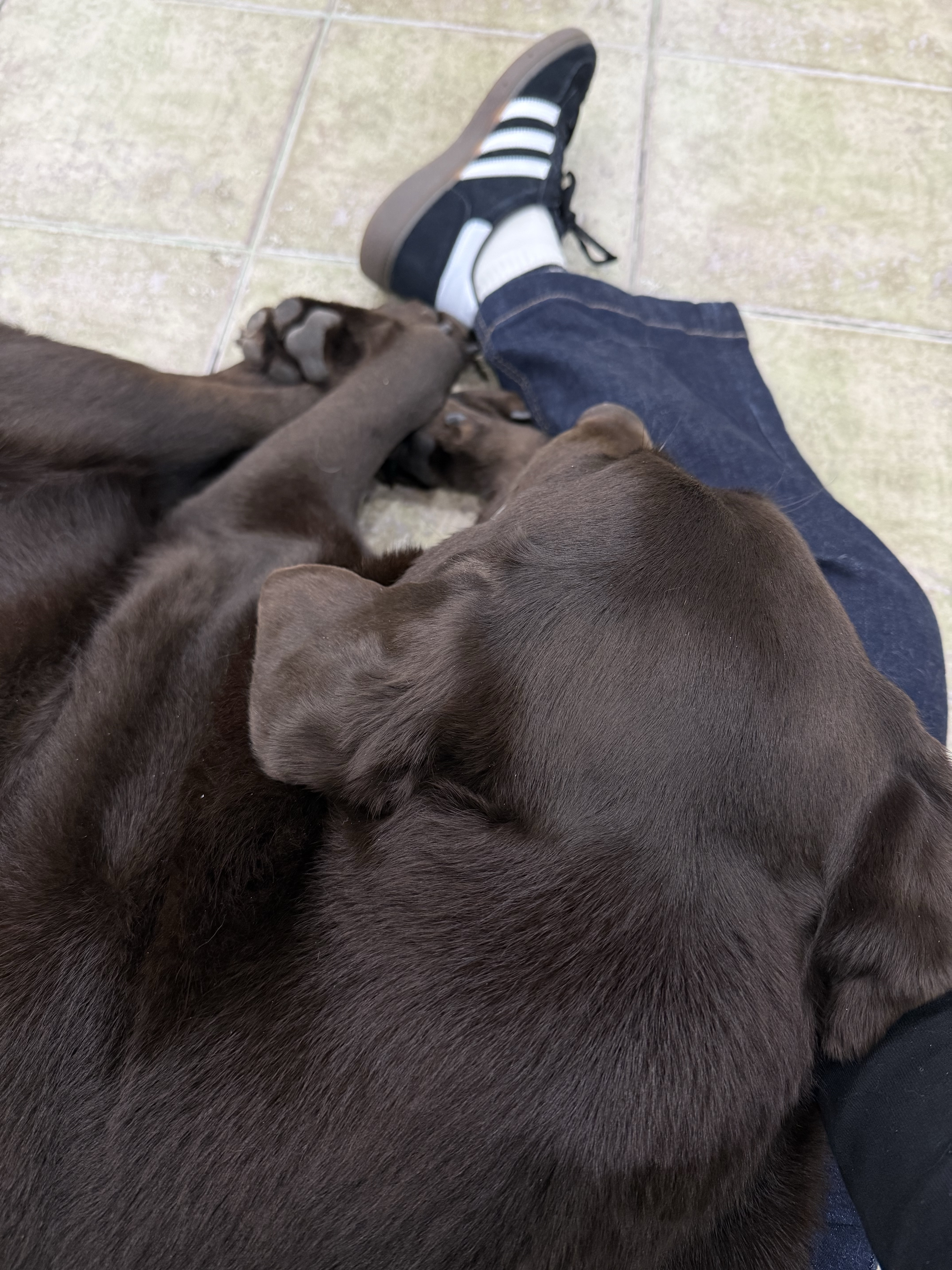 Adidas Spezial Handball Core Black, Maison Francis Kurkdjian Petit Matin Eau De Parfum 70ml 착용 스타일 - 1