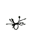 Jewelry.Kwak Spider Ring 001