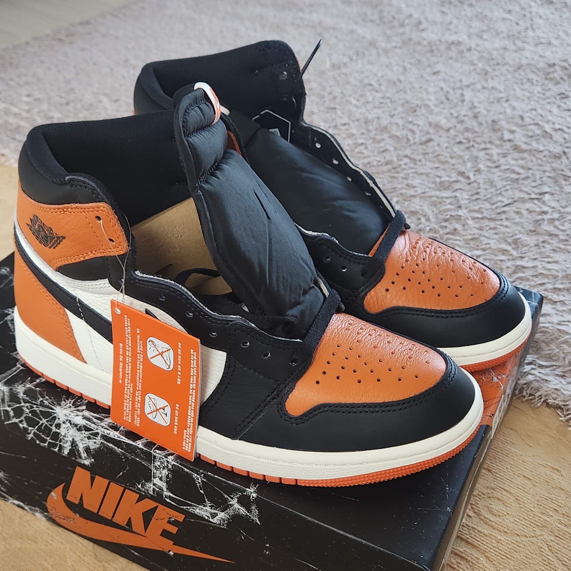 Jordan 1 Retro High OG Shattered Backboard 착용 스타일 - 6