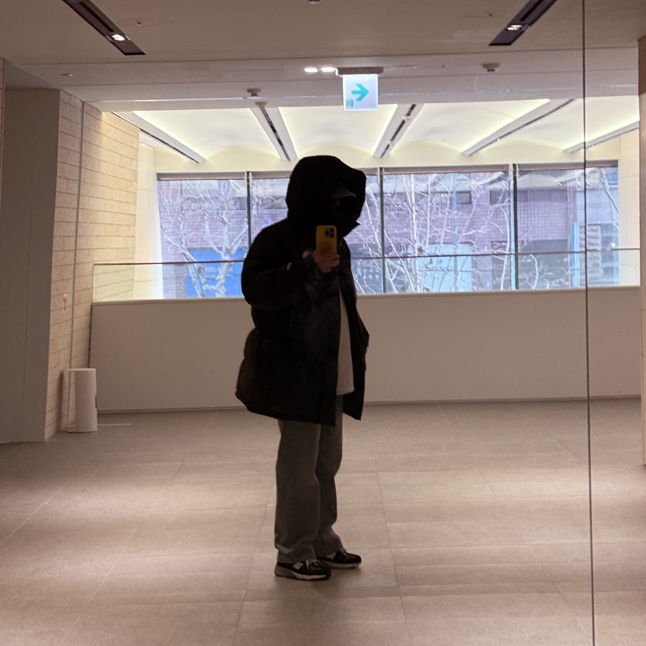 The North Face Him Down Parka Black, (W) New Balance 993 Made in USA Black - B Standard 착용 스타일 - 1