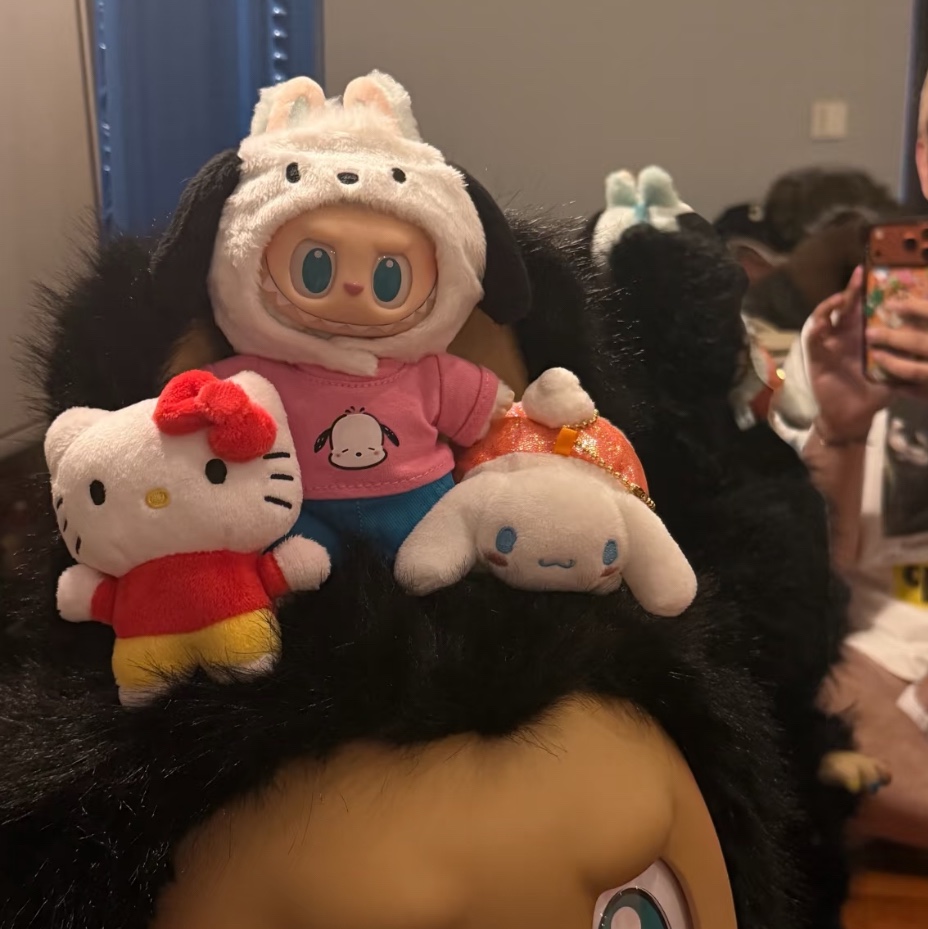 Pop Mart Labubu The Monsters x Hello Kitty And Friends Series Plush Pendant Pochacco (Opened Case) 착용 스타일