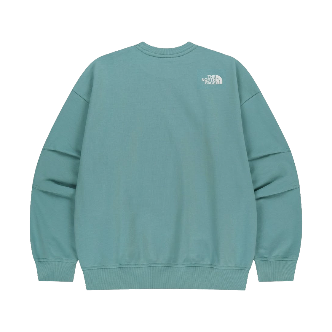 노스페이스 화이트 라벨 WL 스웨트셔츠 씨 파인(The North Face White Label WL Sweatshirts Sea Pine) - 2