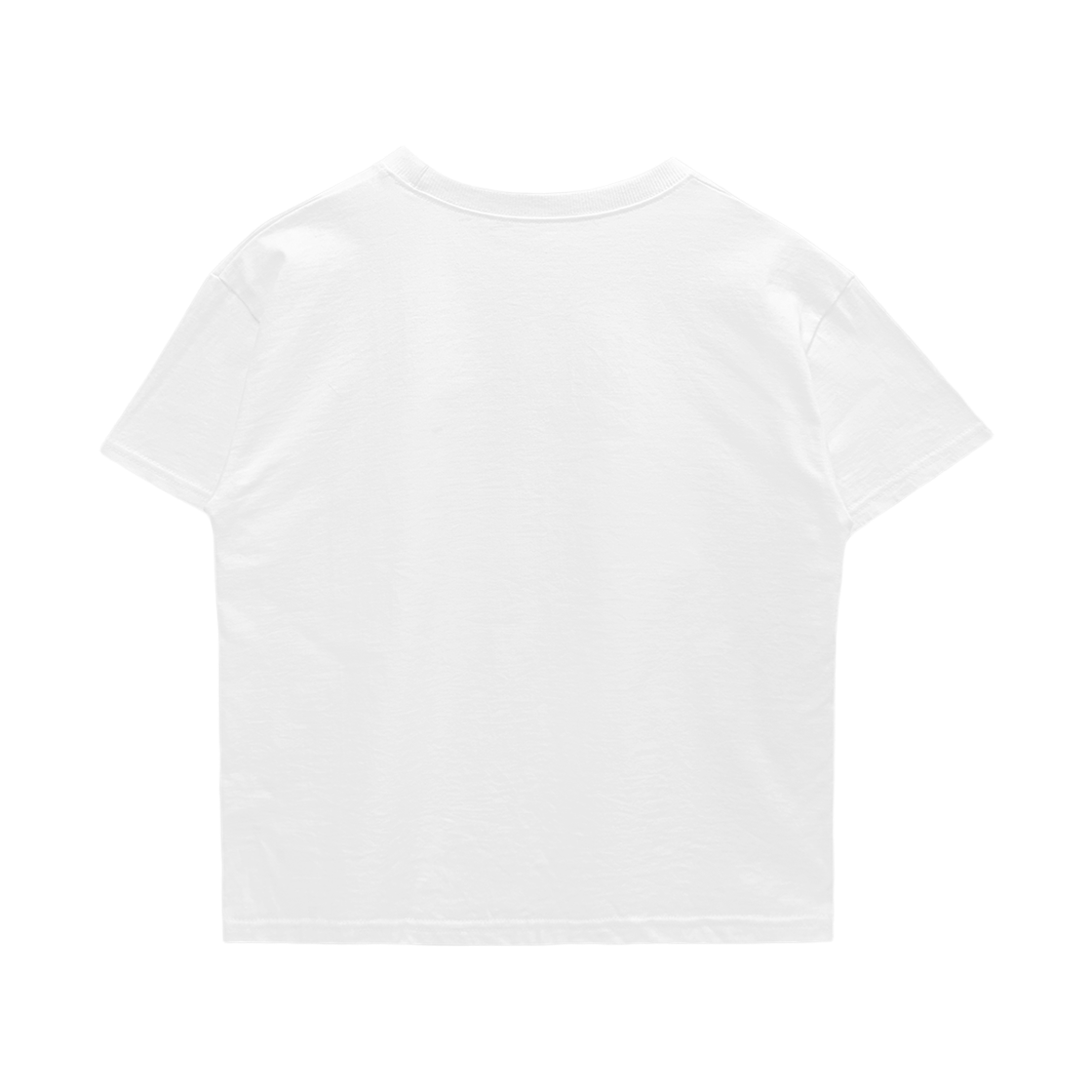 랜 아카이브 0096 스타 페더 그래픽 슬림 티셔츠 - 아이보리(LAN ARCHIVE 0096 Star Feather Graphic Slim T-Shirt - Ivory) - 2