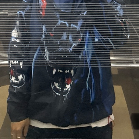 Palace Gore-Tex 2L P-Tek Jacket K-Nein Print - 26SS 착용 스타일