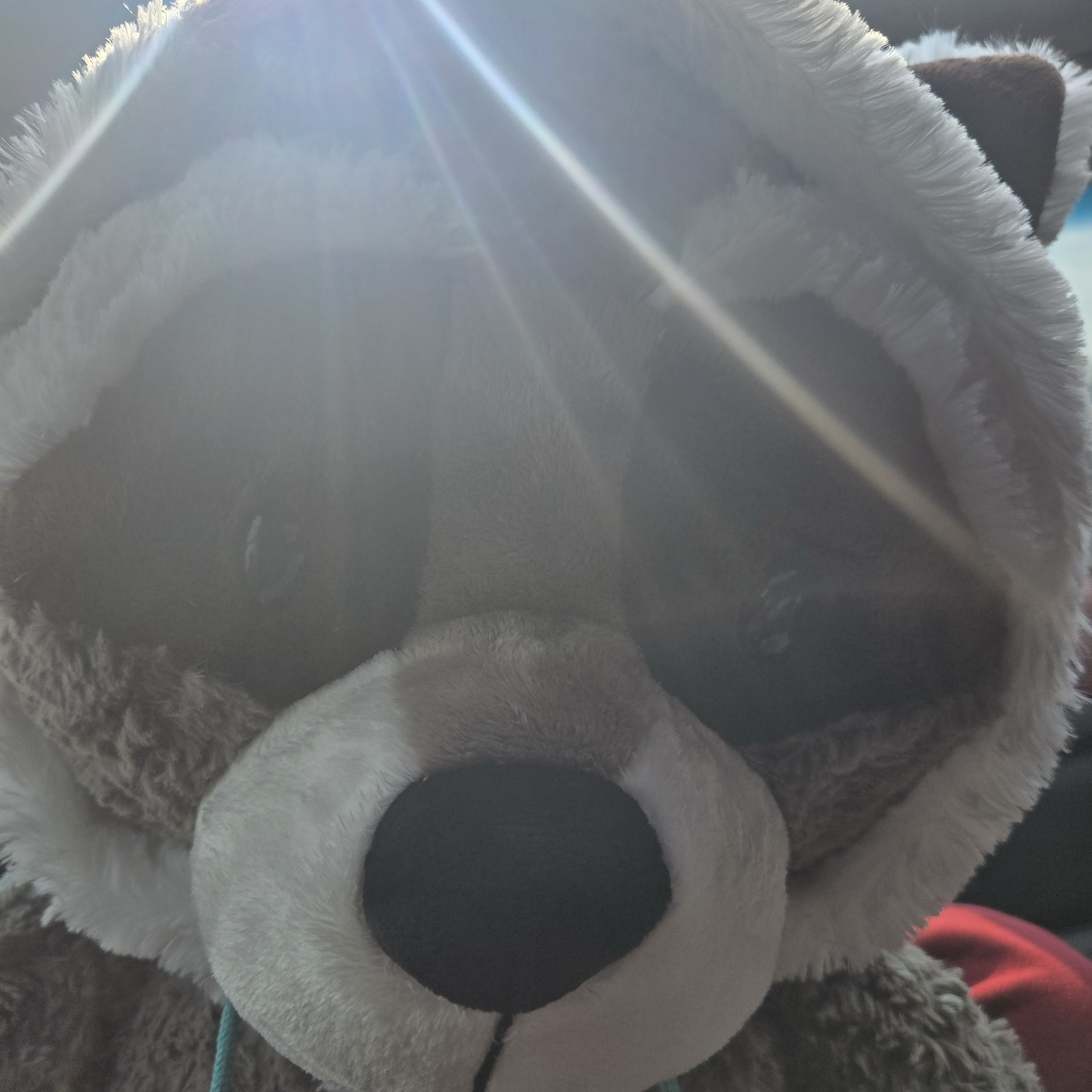 [KREAM 단독] NICI Soft toy raccoon Lenno 70cm dangling GREEN, [KREAM 단독] NICI Love bear light-brown 50cm dangling 착용 스타일 - 4