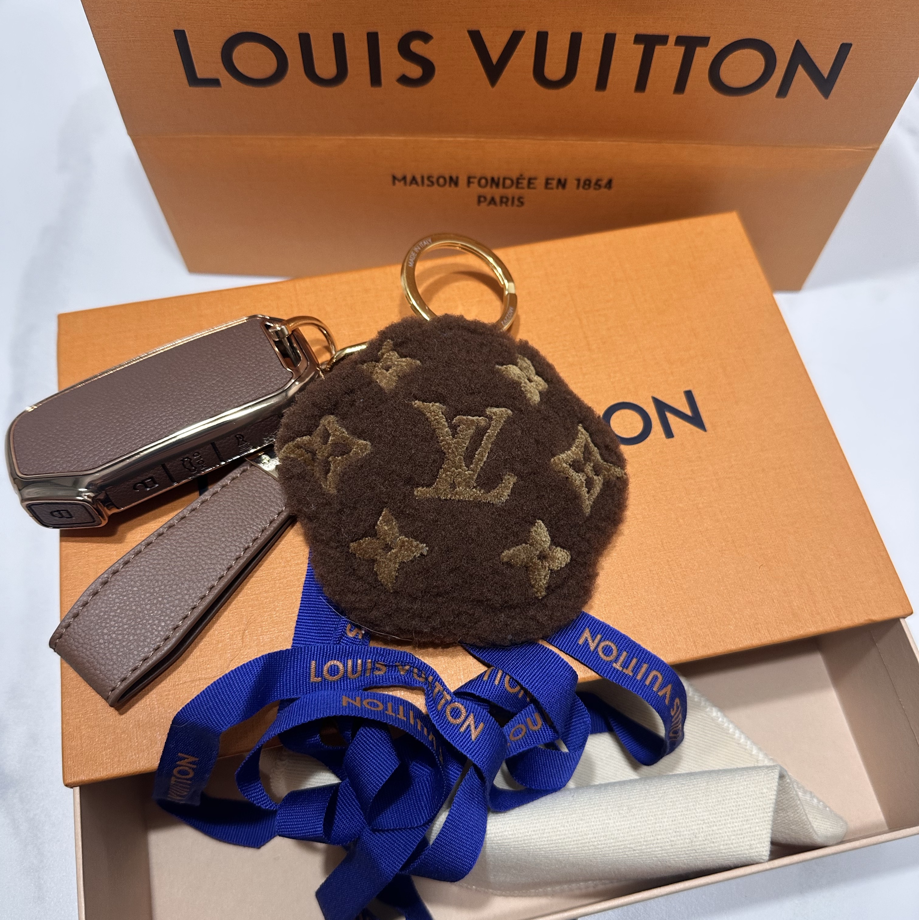 Louis Vuitton LV Paw Key Holder & Bag Charm Brown 착용 스타일 - 1