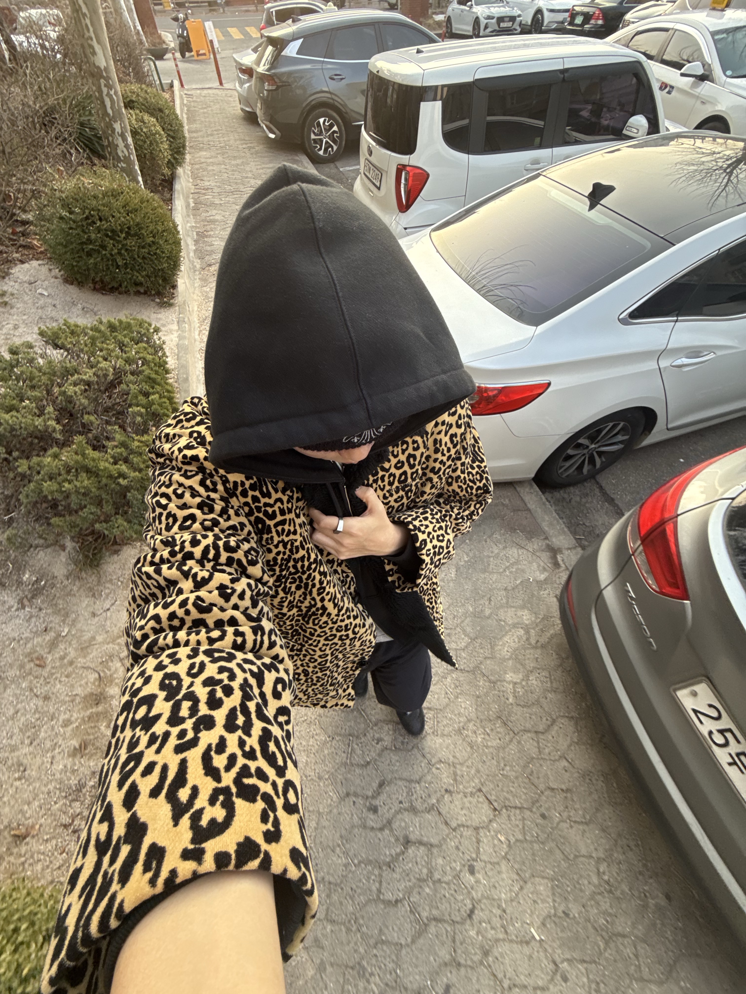 Hysteric Glamour HYS Whisky Embroidery Cap Black, Supreme Pilled Zip Up Hooded Sweatshirt Cheetah - 24FW 착용 스타일 - 2