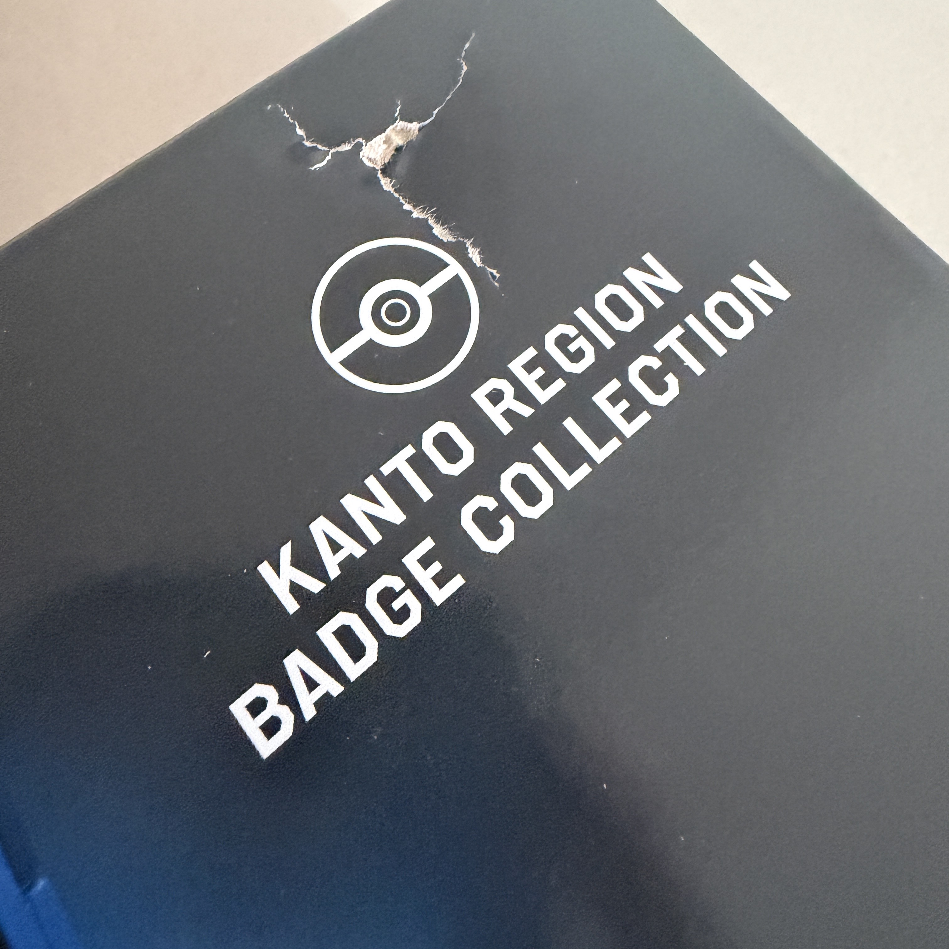 Lego Pokemon Kanto Region Badge Collection 착용 스타일