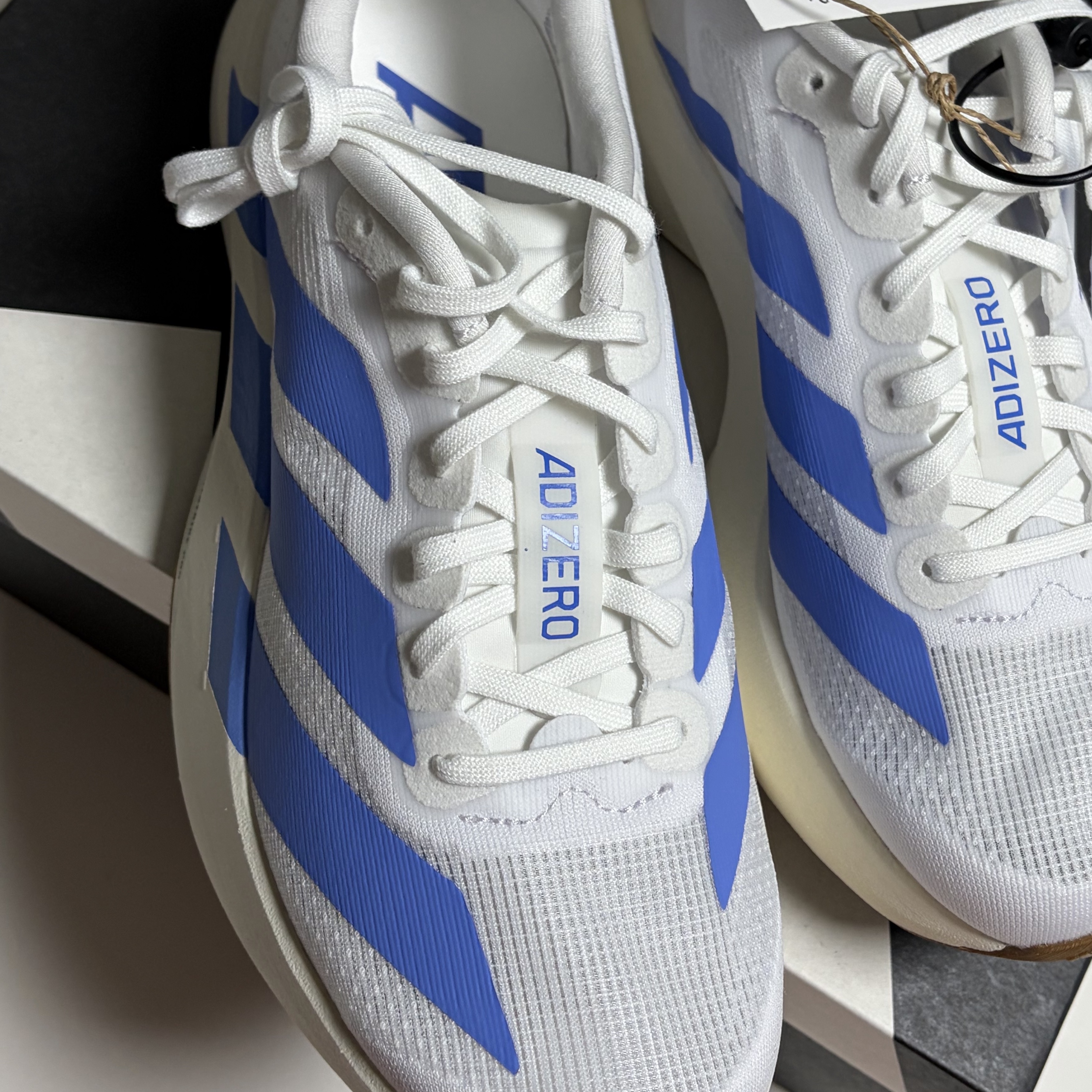 (W) Adidas Adizero Evo SL Cloud White Blue Fusion 착용 스타일