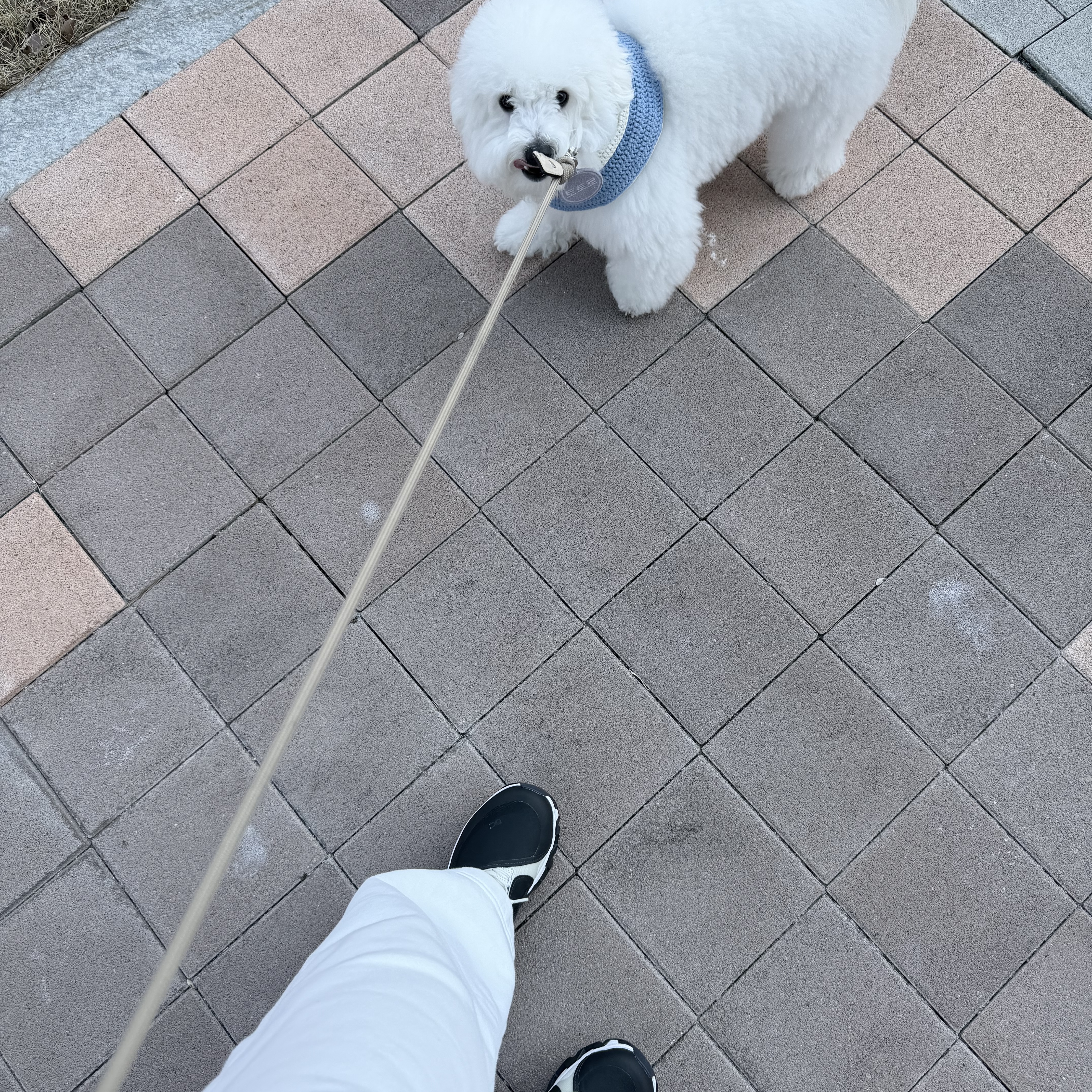 (W) On Running x Post Archive Faction (Paf) Cloudmonster Hyper Black 착용 스타일