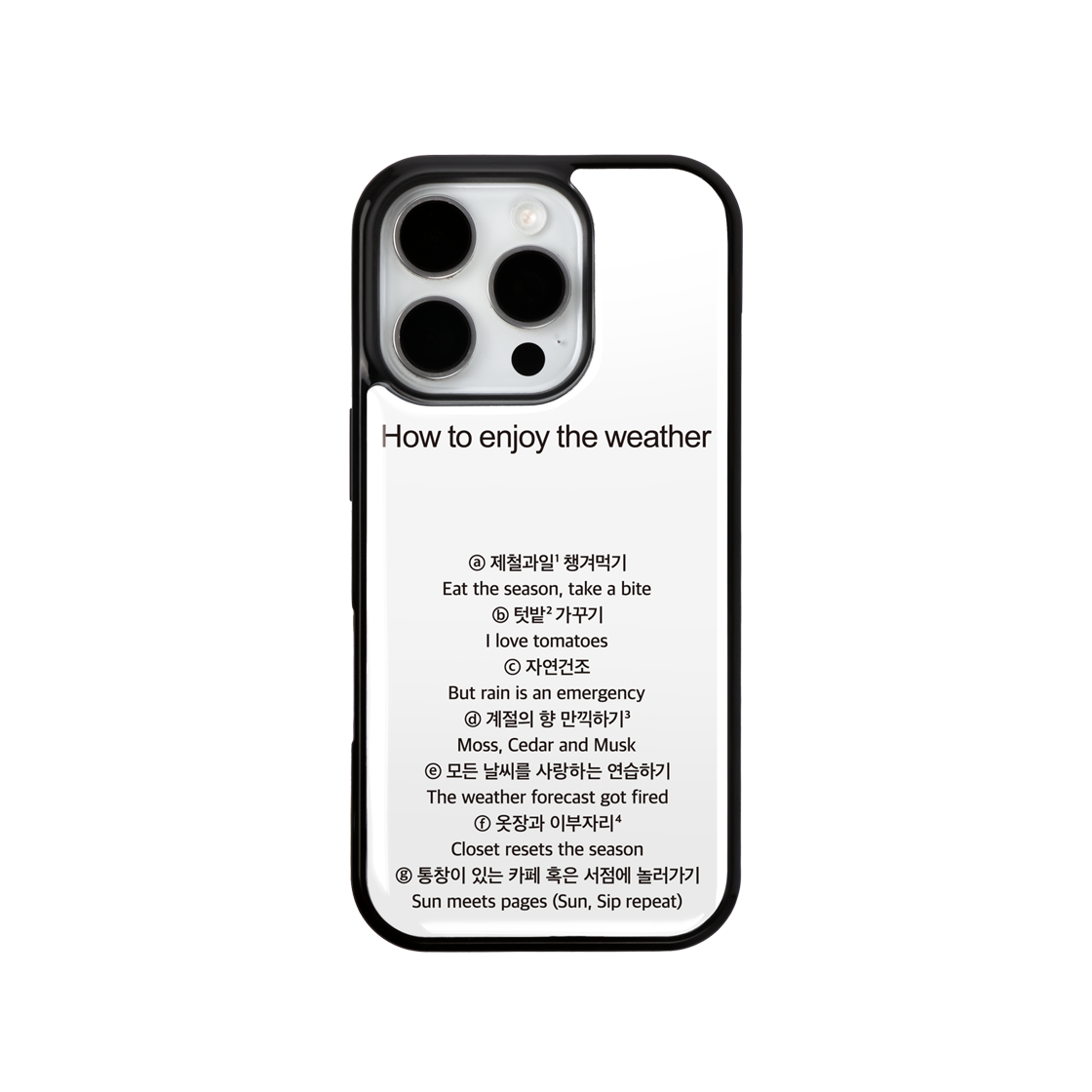 8800231102129 Duitproject Weather Case Epoxy Case Black (DC028)