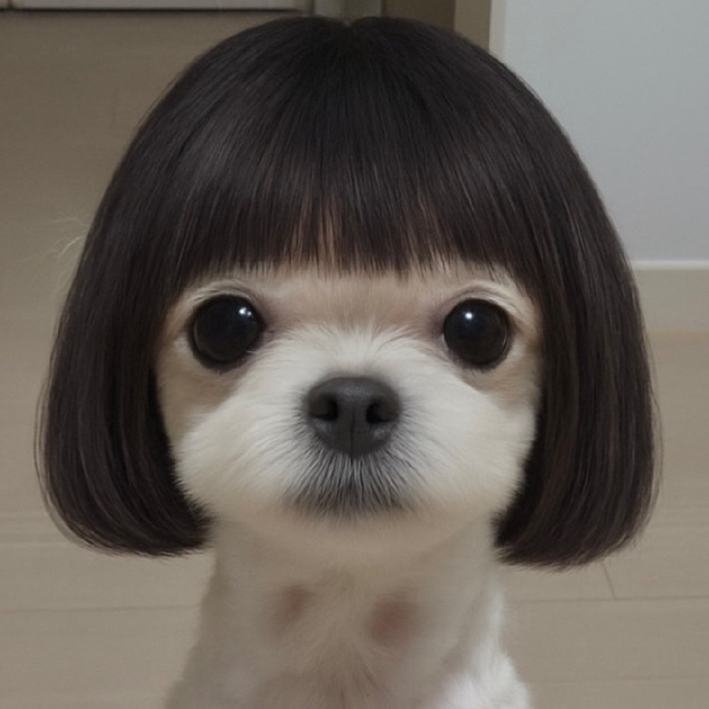 관심 유저 프로필 이미지