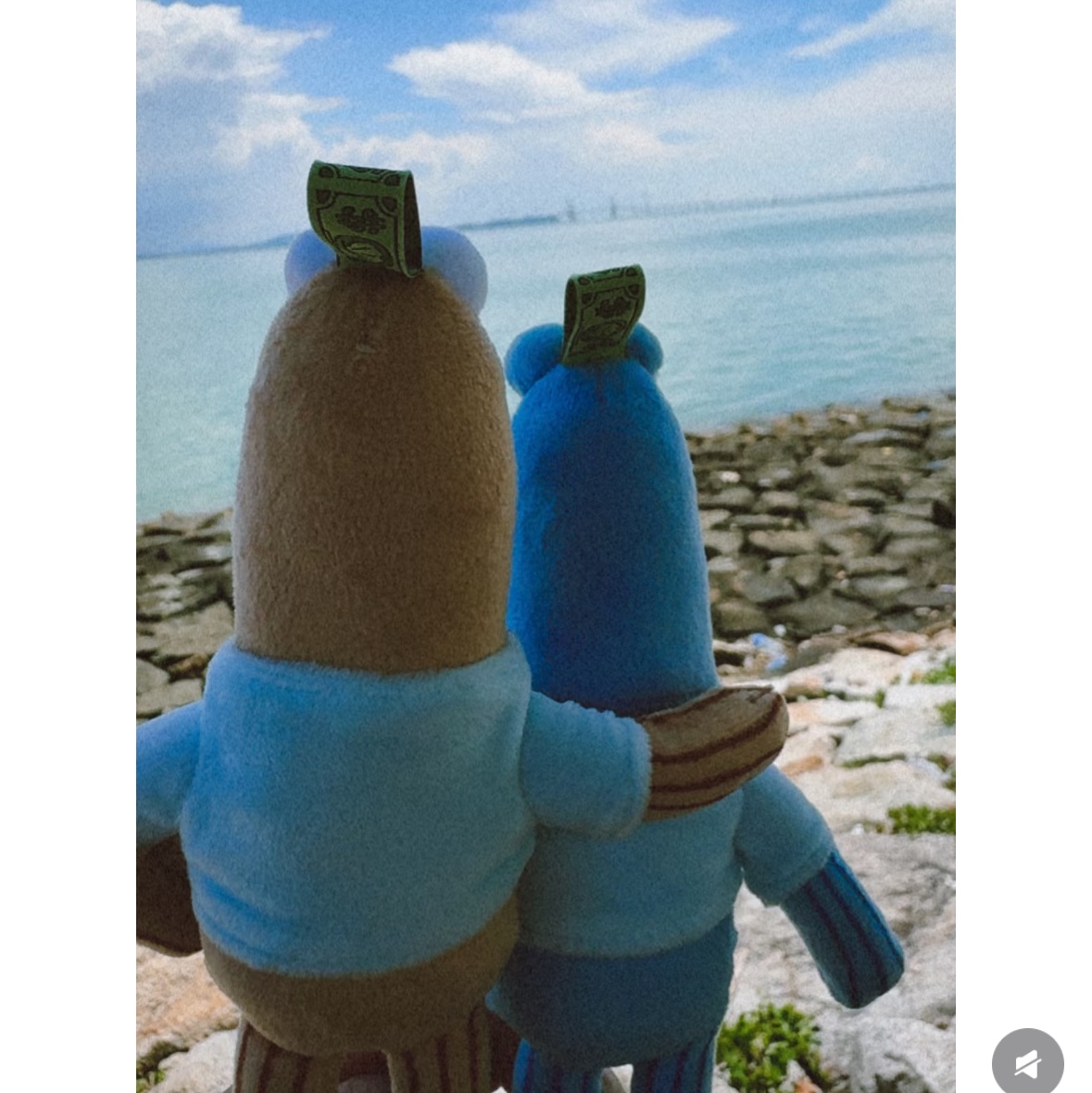 Pop Mart Bikini Bottom Buddies Whimsical Plush Sardine (Opened Case) 착용 스타일
