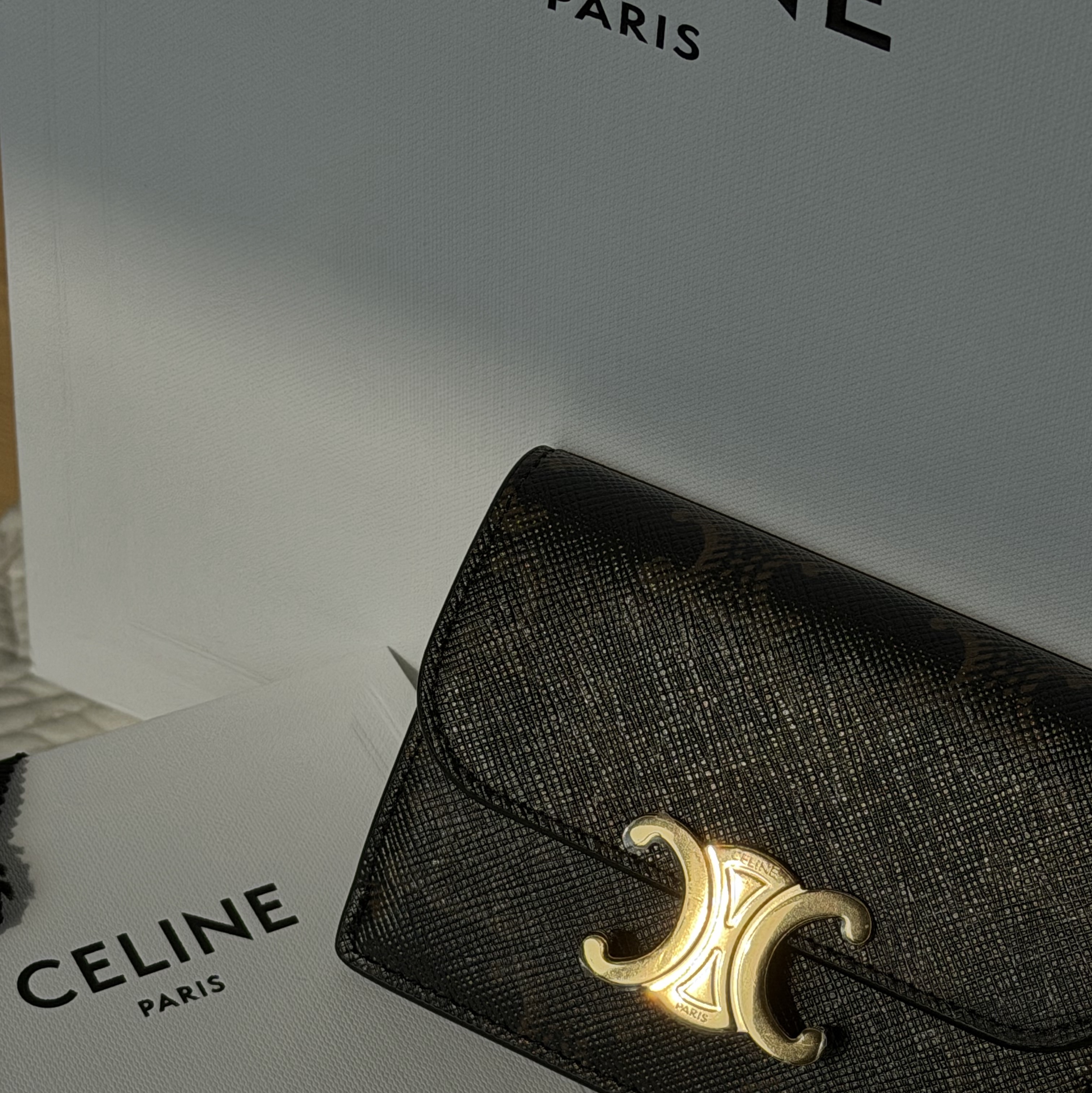 Celine Card Holder with Flap in Triomphe Canvas Tan 착용 스타일