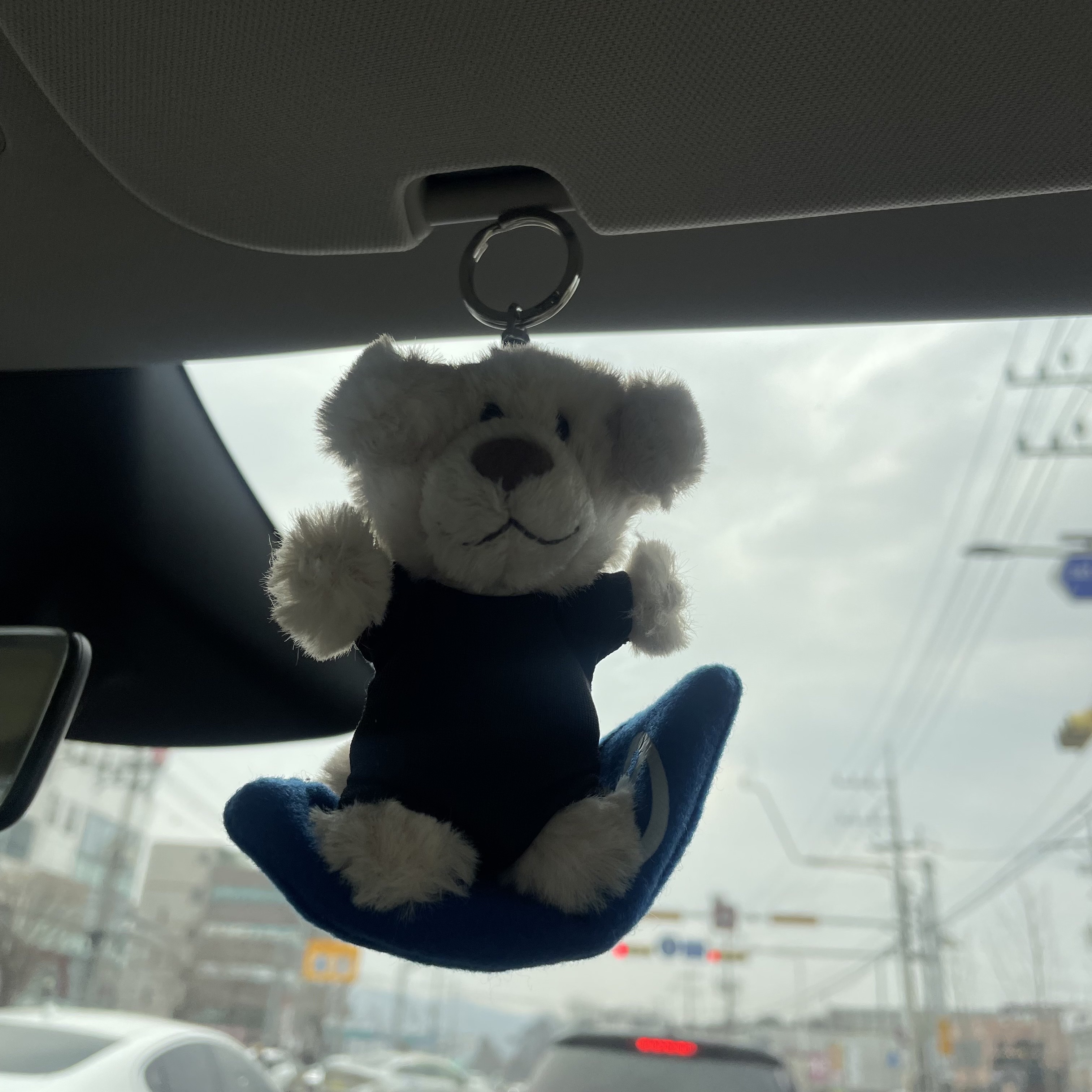 [KREAM 단독] NICI 10cm Golden retriever with Surfing Board BB 착용 스타일