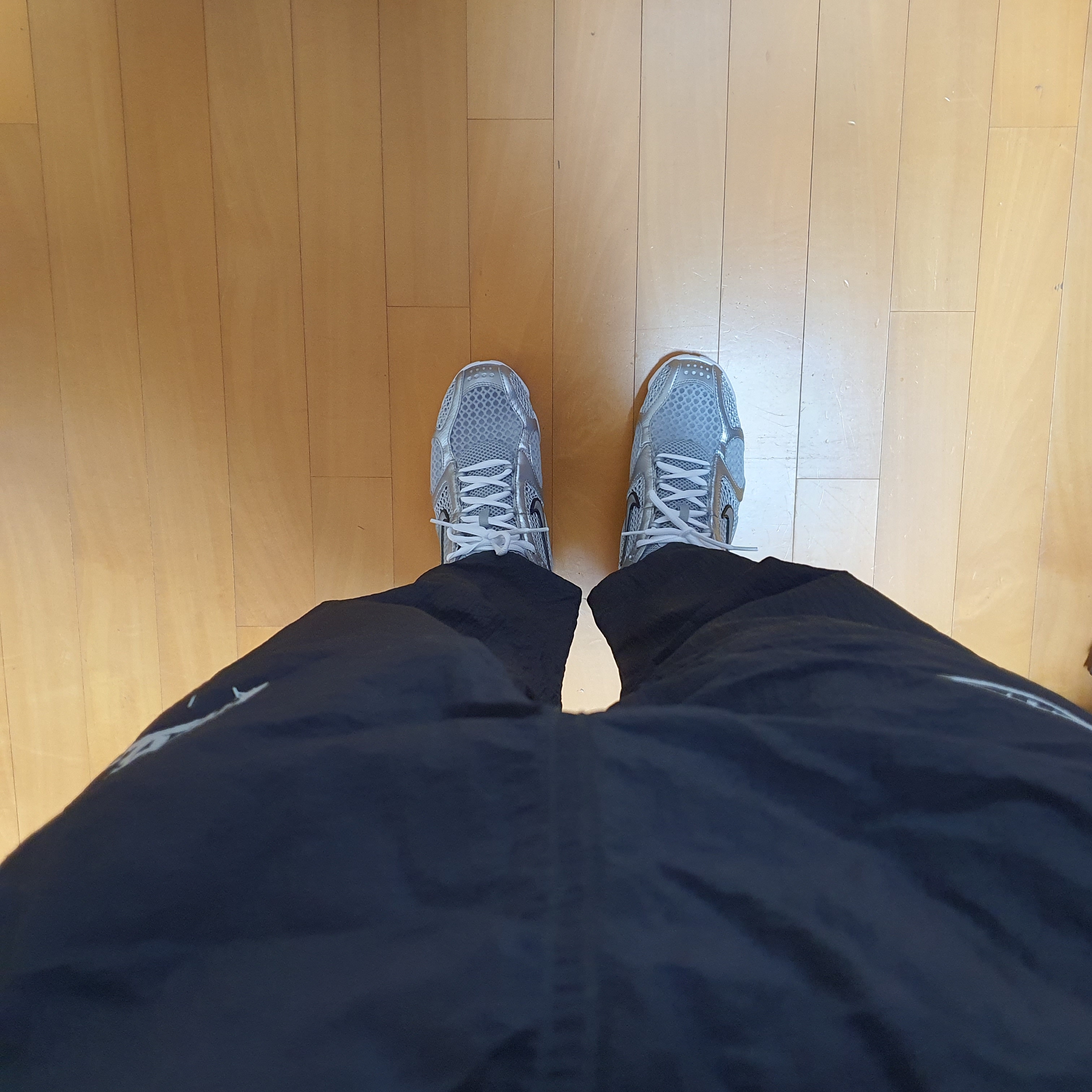 Nike Air Zoom Spiridon Cage 2 Metallic Silver 착용 스타일
