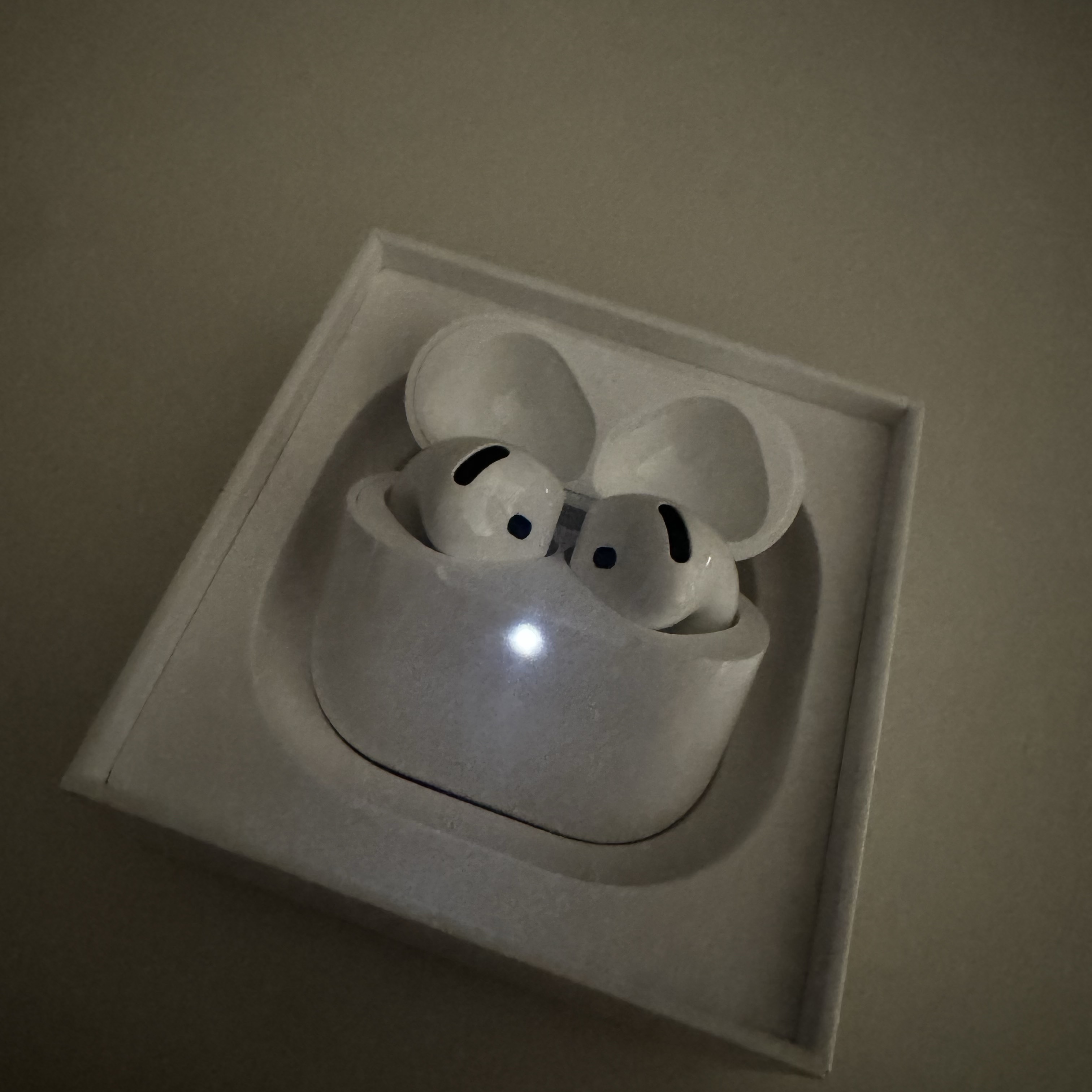 Apple Airpods 4th Gen (Korean Ver.) 착용 스타일 - 2