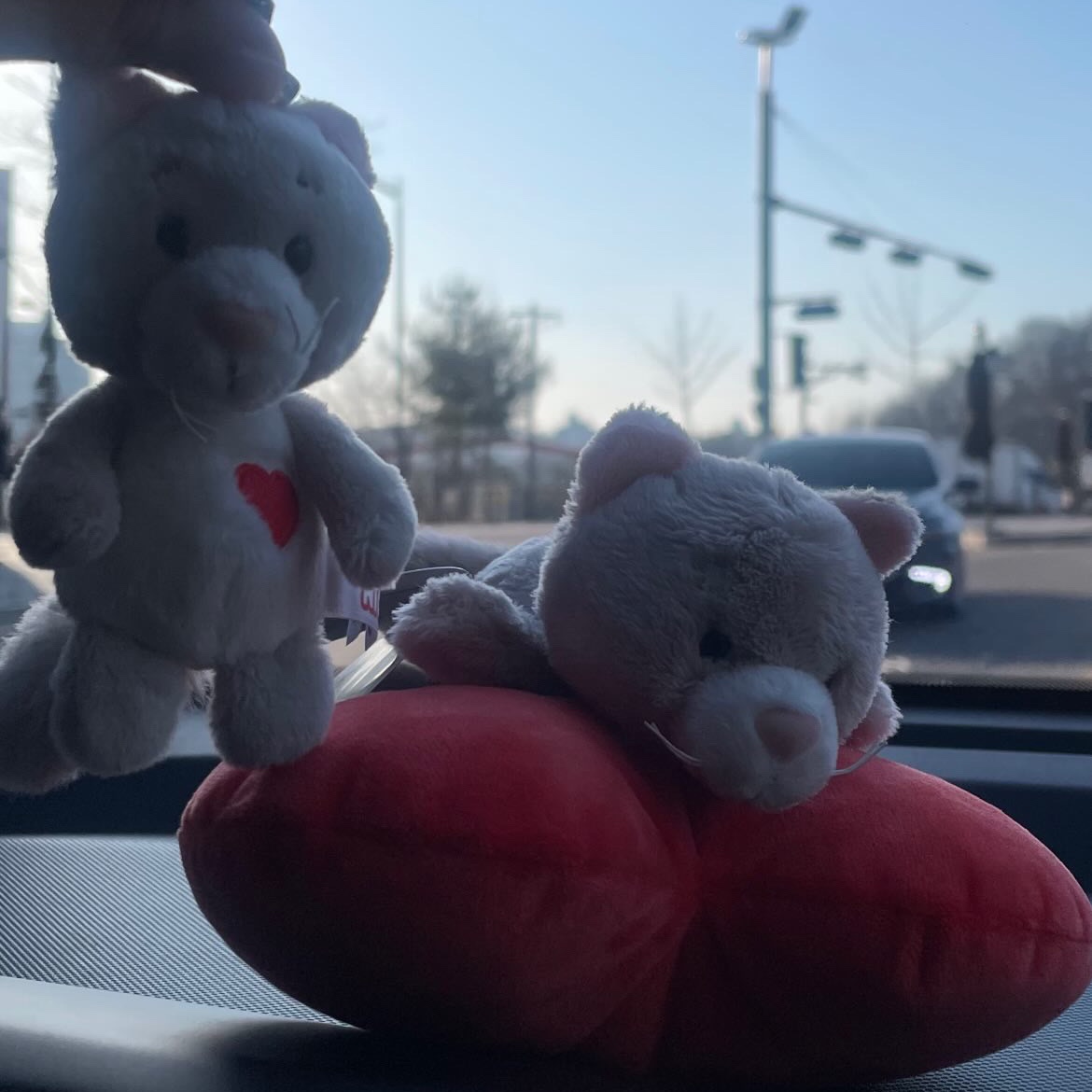 [KREAM 단독] NICI Soft toy cat fluffy 13cm lying on heart GREEN, [KREAM 단독] NICI Keyholder cat cute 10cm GREEN 착용 스타일 - 2