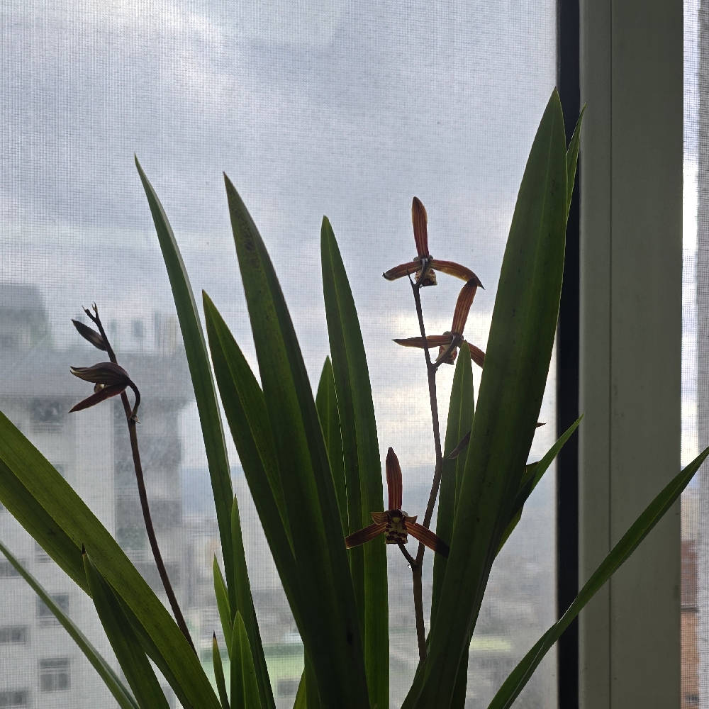 관심 유저 프로필 이미지