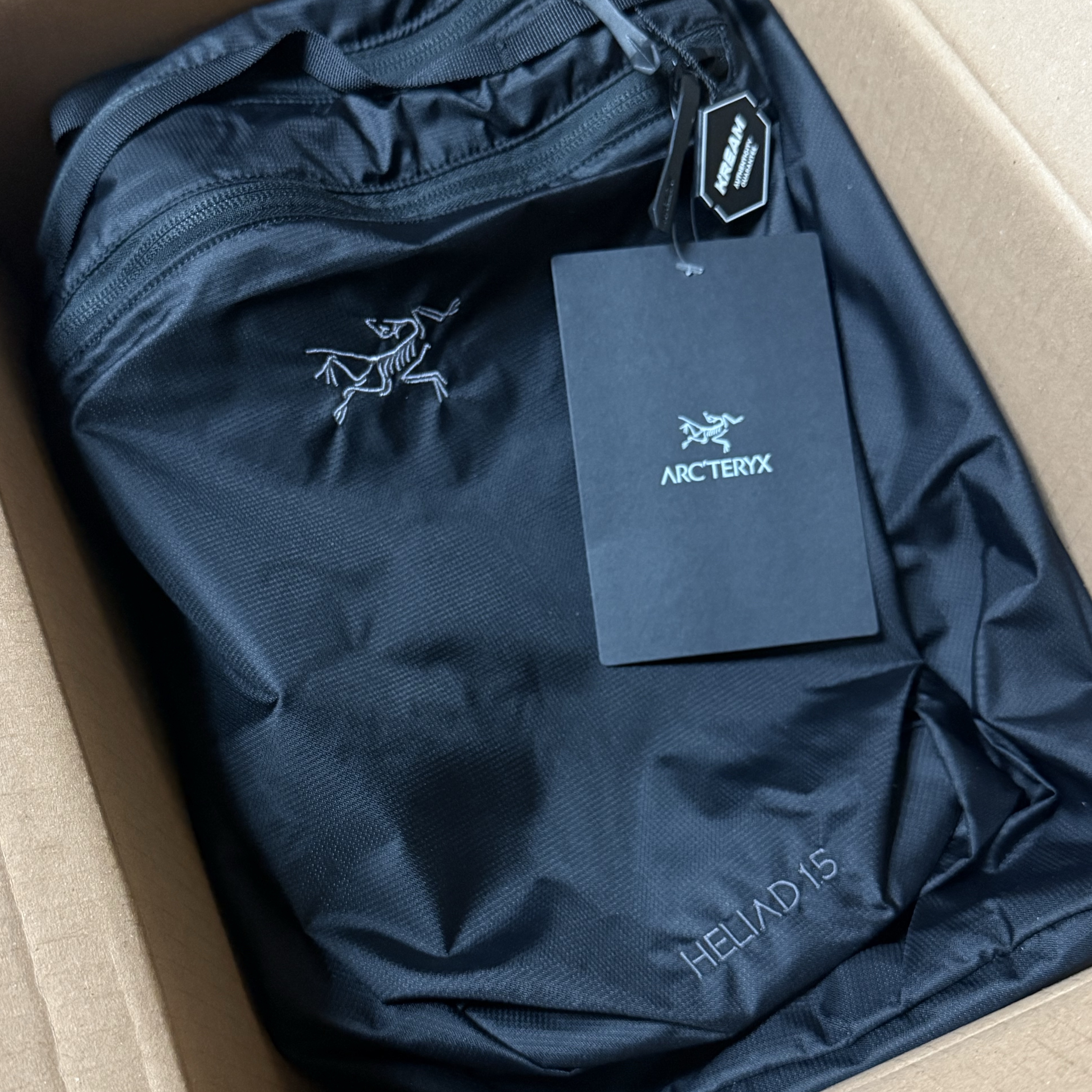 Arc'teryx Heliad 15 Backpack Black 착용 스타일